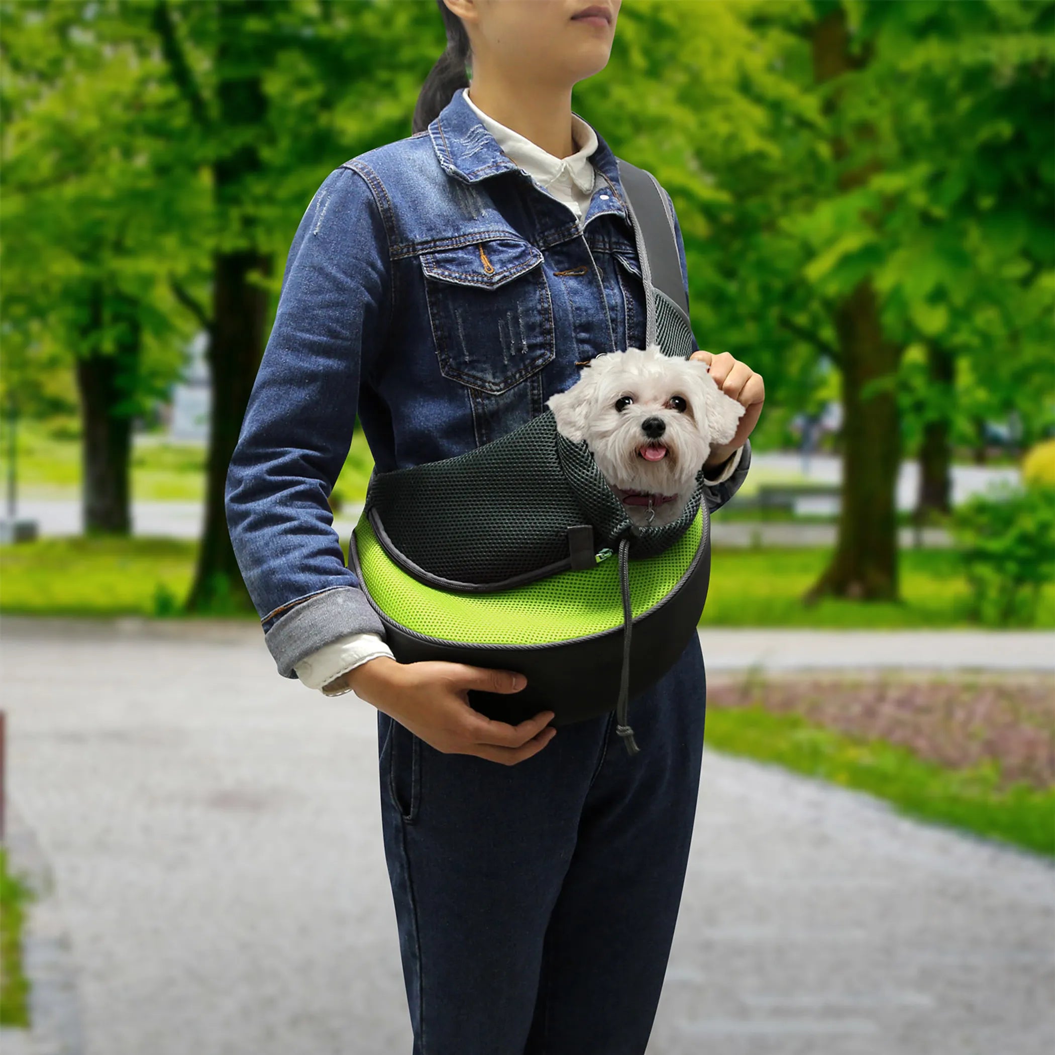 Pet Carrier for Dogs Cats Hand