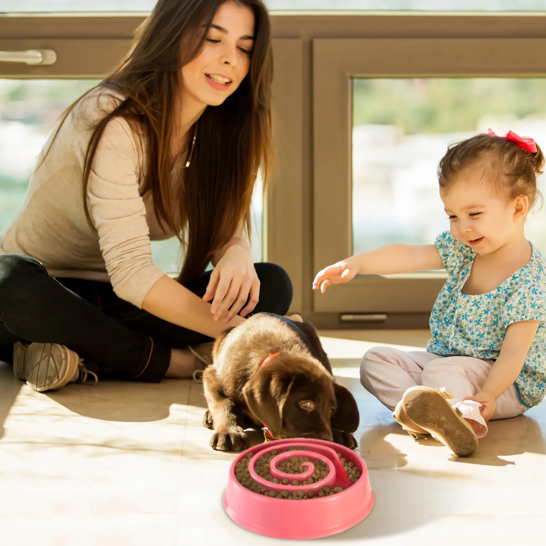 Dog Cat Slow Feeder Bowl Pet Interactive