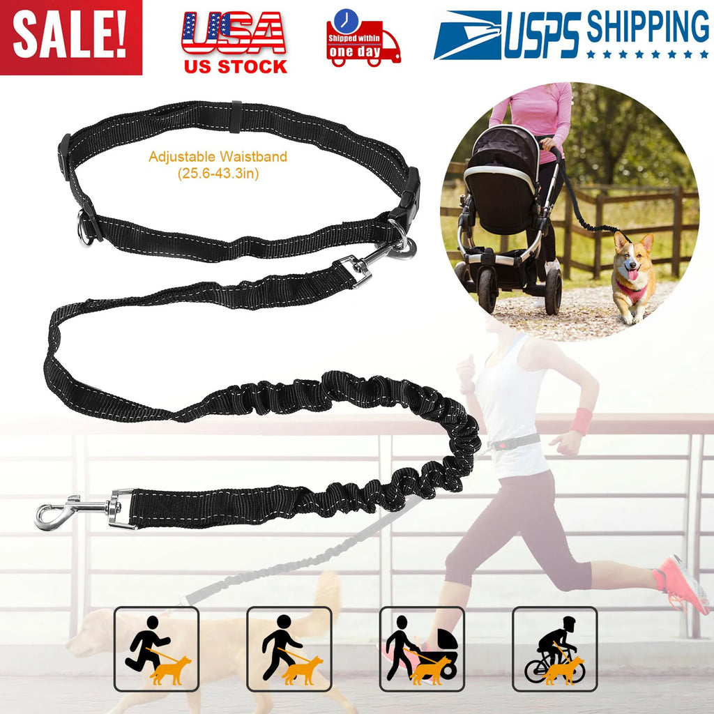 Hands-Free Dogs Leash Waist Belt