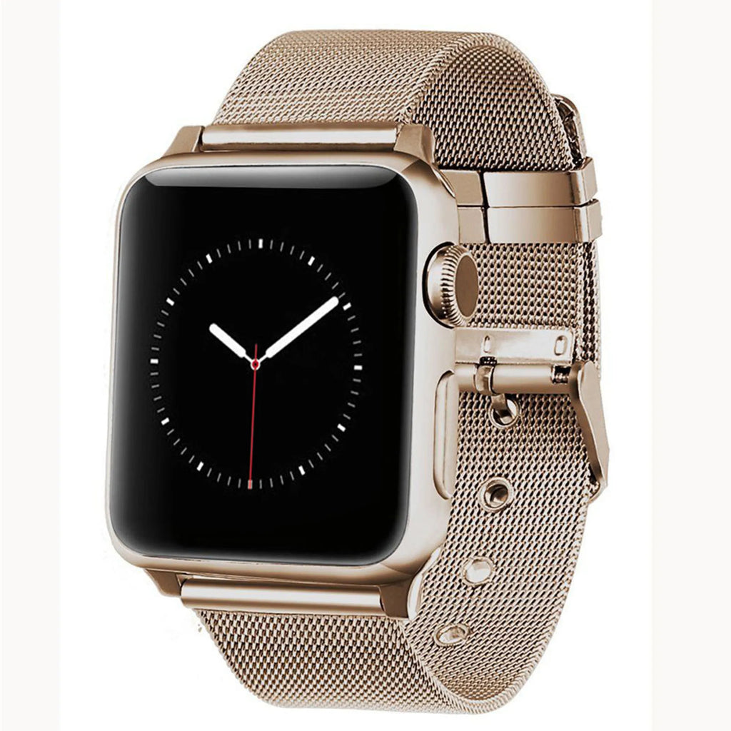 Stainless Steel Classic Buckle Band Replacement