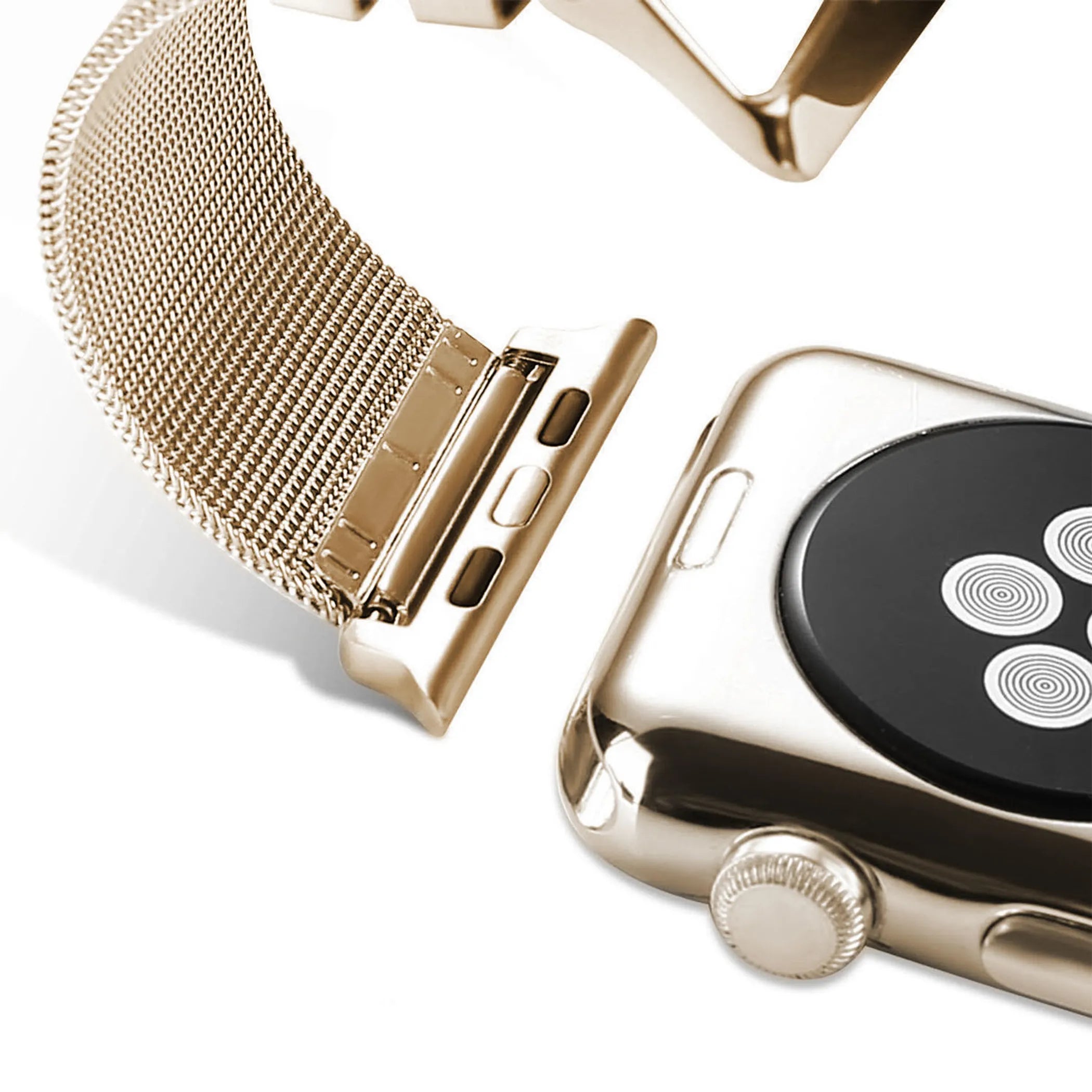 Stainless Steel Classic Buckle Band Replacement