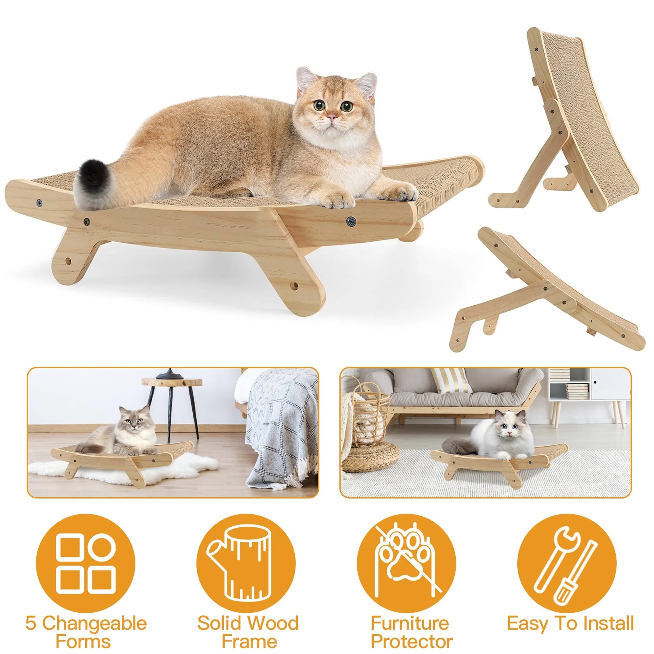 5 Changeable Forms Cardboard Cat