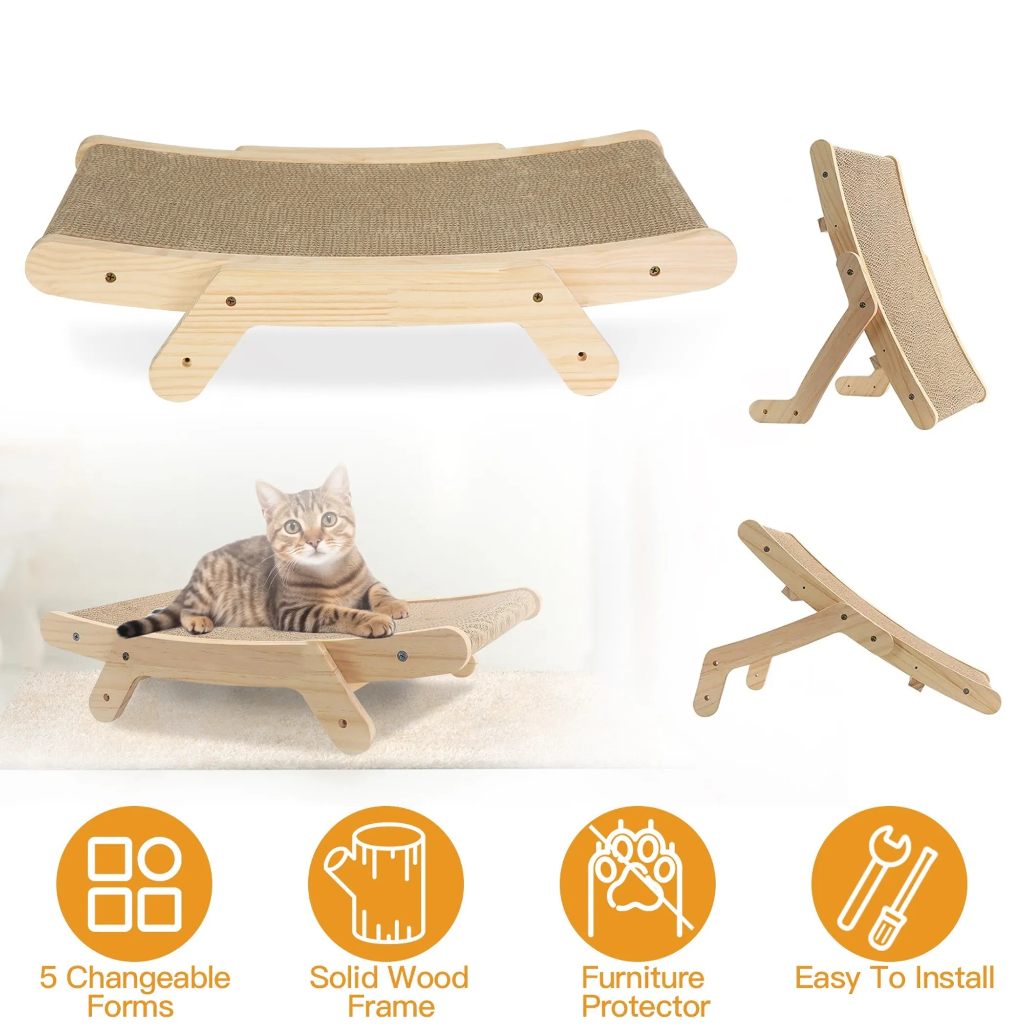 5 Changeable Forms Cardboard Cat
