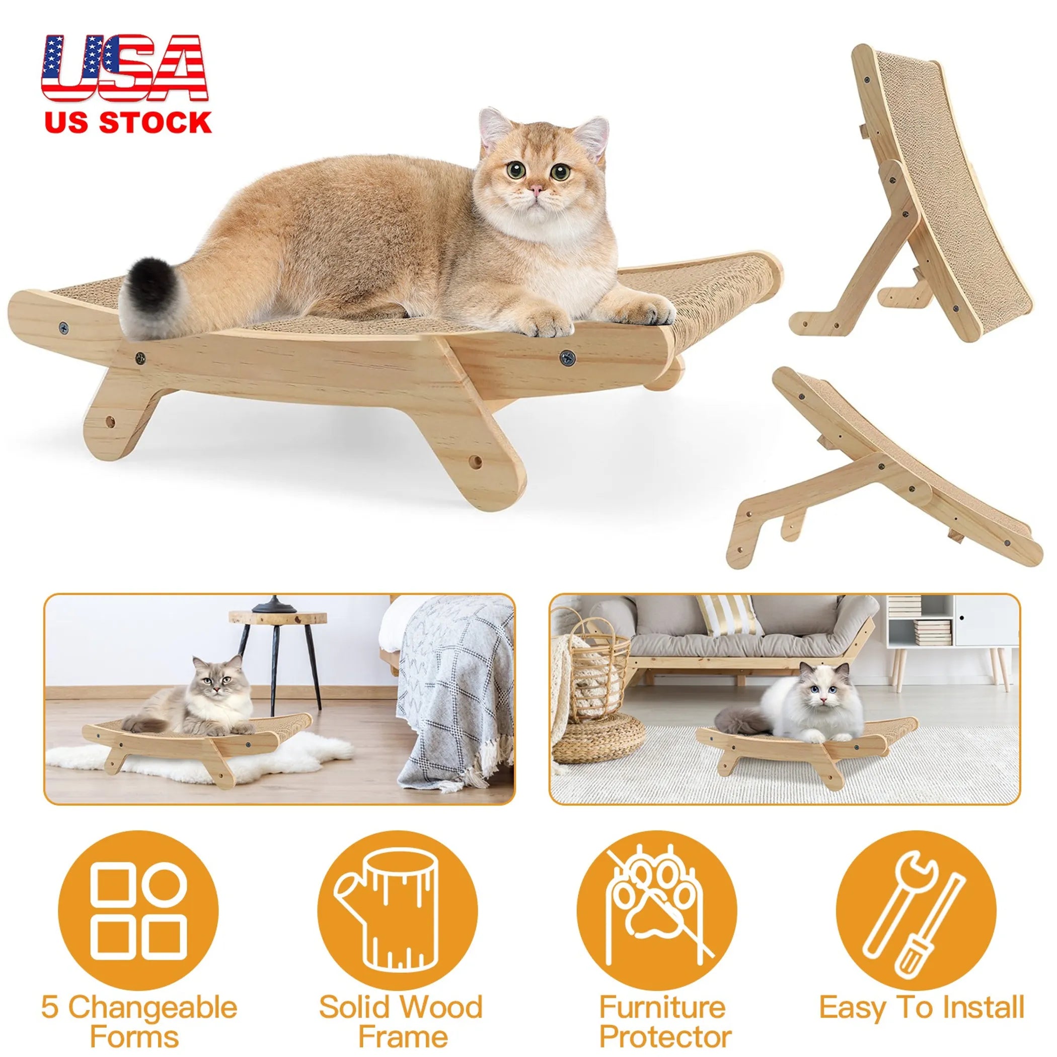 5 Changeable Forms Cardboard Cat