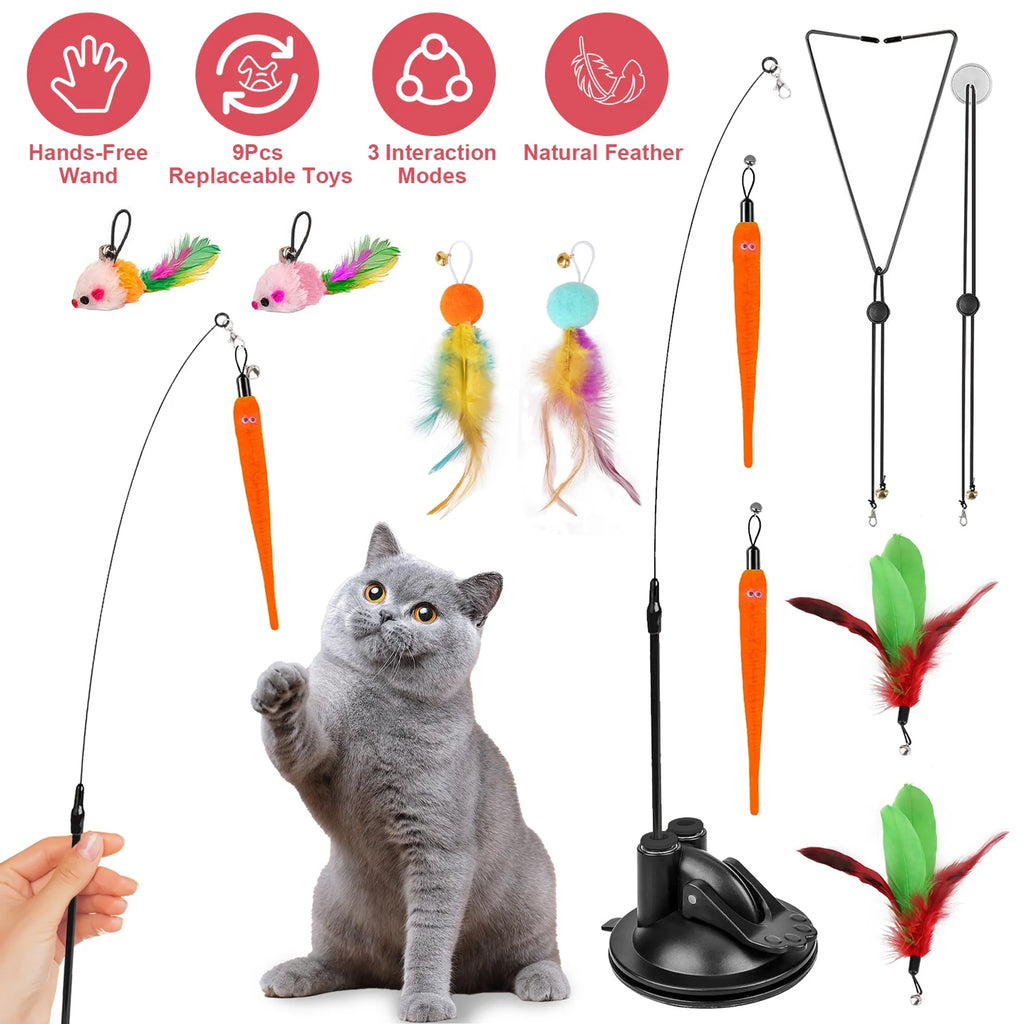 2 Cat Wand Toys
