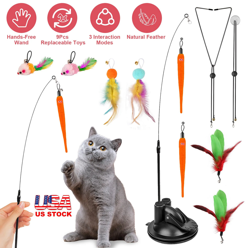 2 Cat Wand Toys