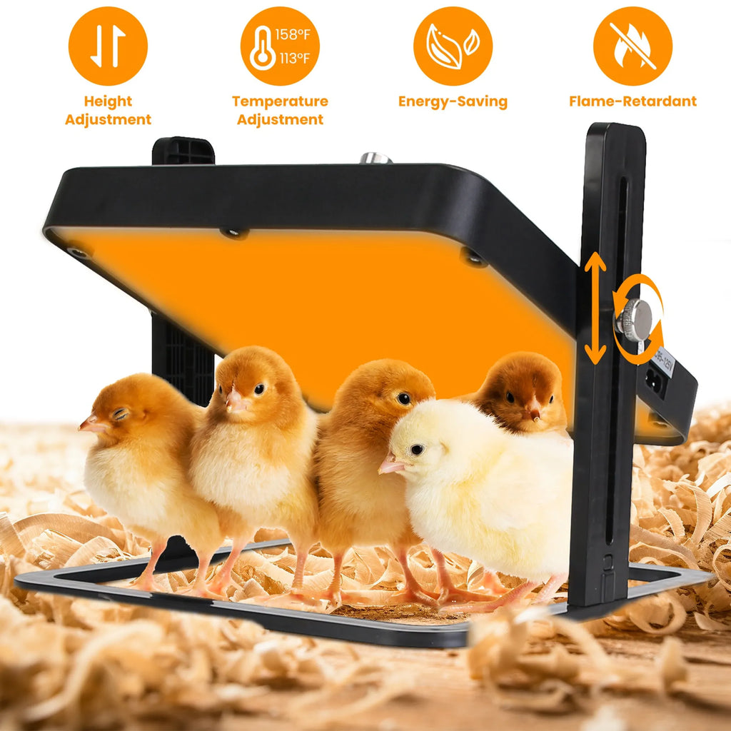 Brooder Heater For Chicks
