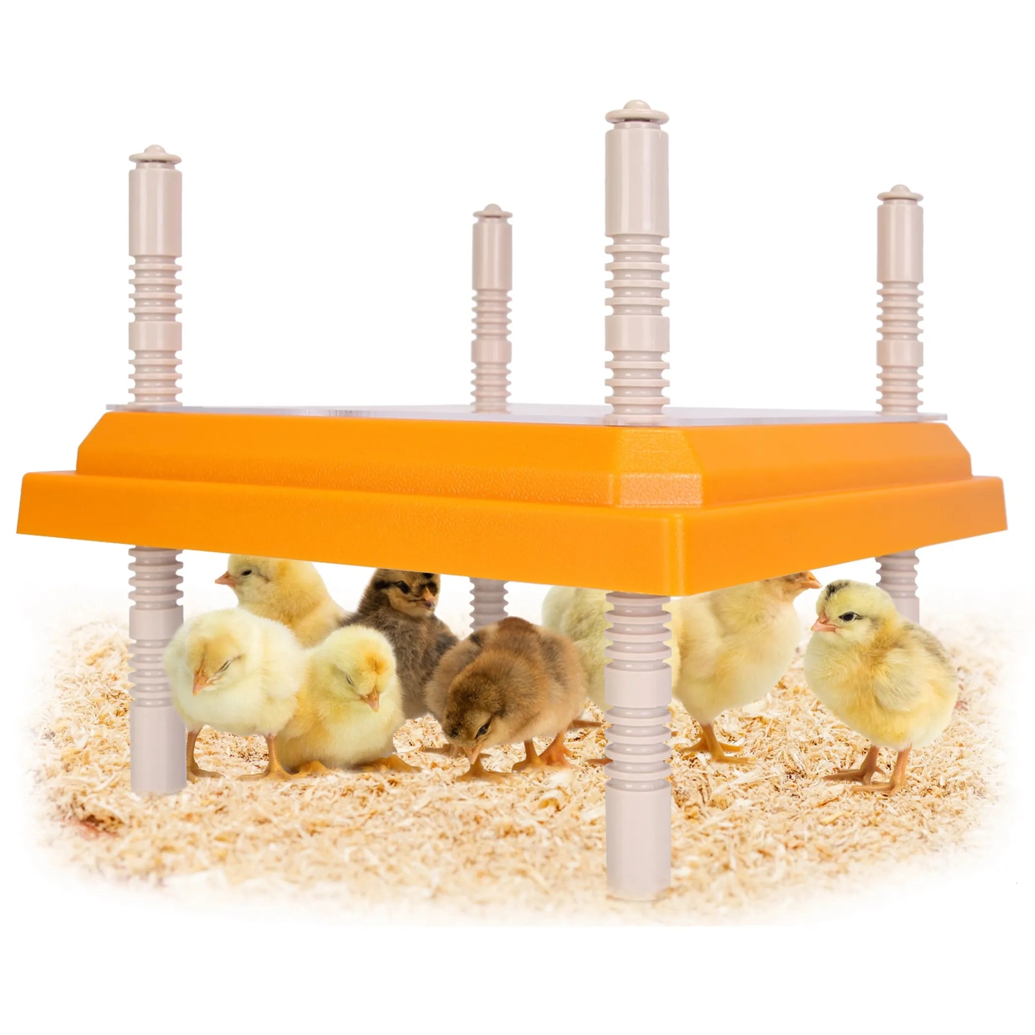 Chick Brooder Heating Plate 15W Chicken Brooder Heater