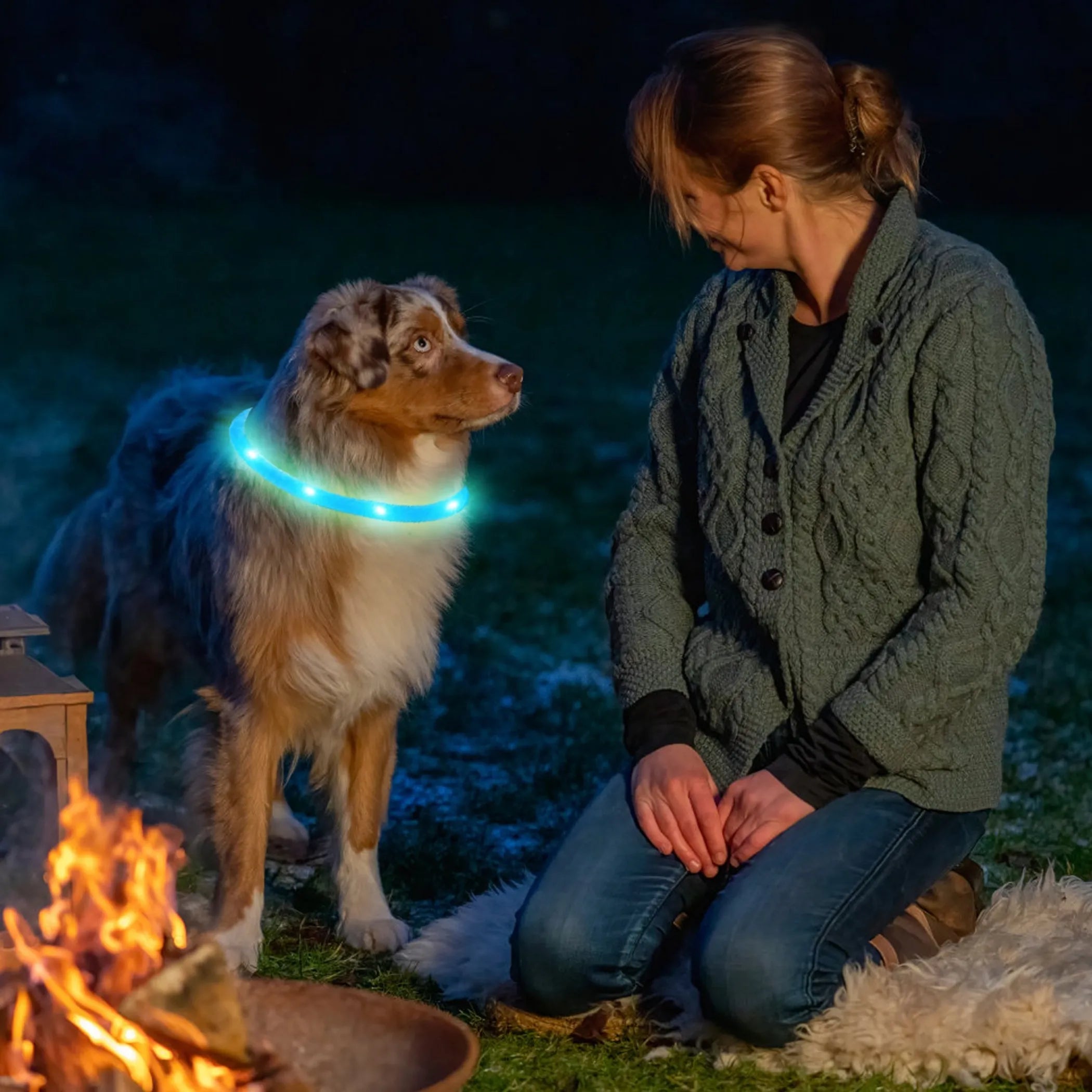 USB Rechargeable LED Dog Collar