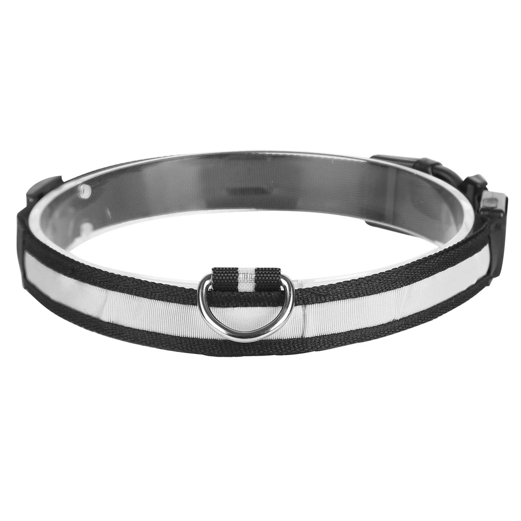 LED Dog Collar