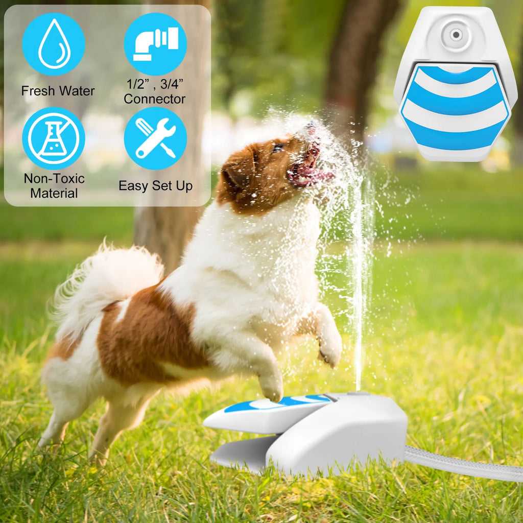 Outdoor Dog Water Fountain Dog