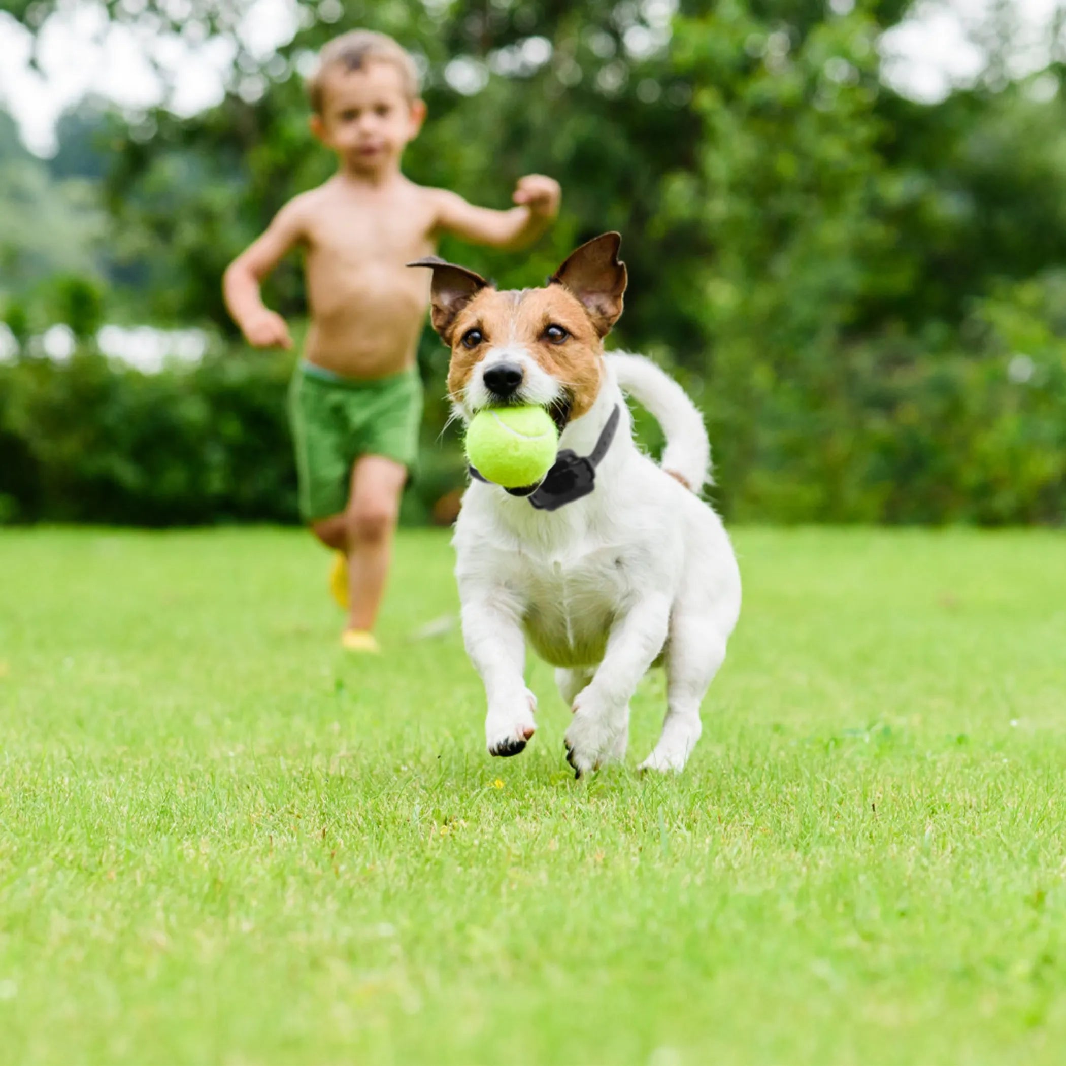 Wireless Electric Dog Fence Pet Shock