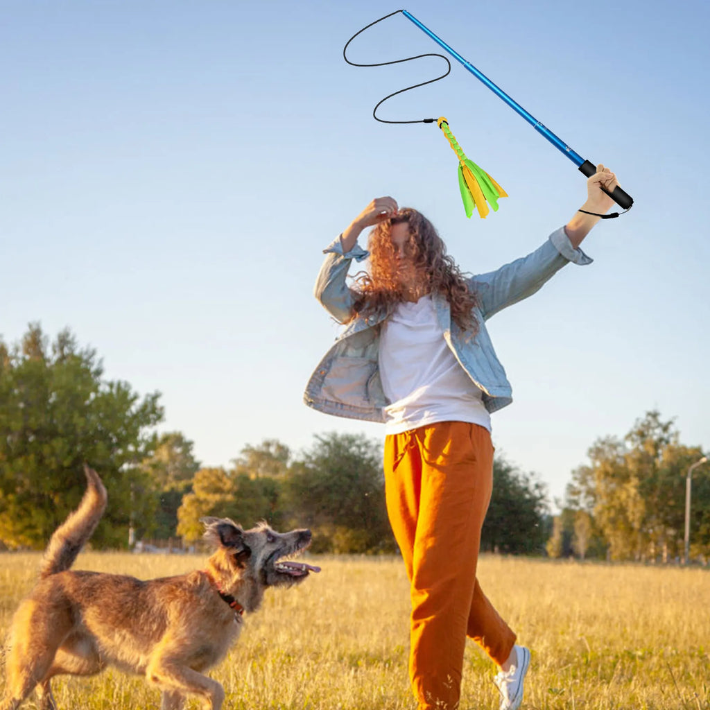 Extendable Dog Flirt Pole