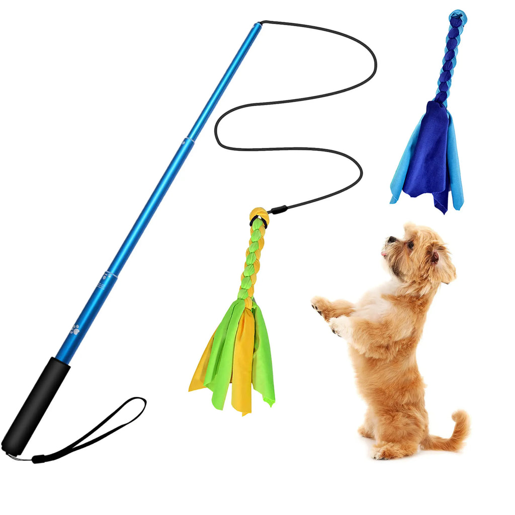 Extendable Dog Flirt Pole