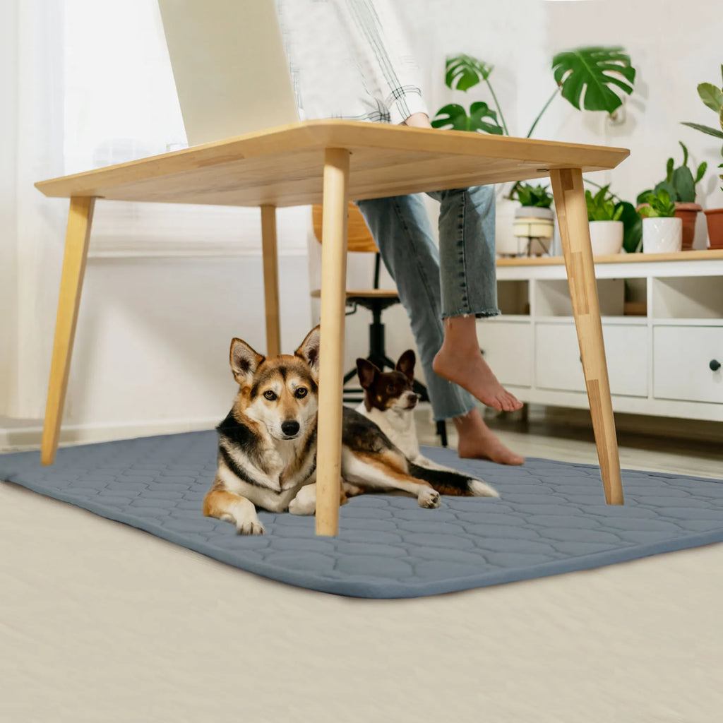 Washable Dog Pee Pad