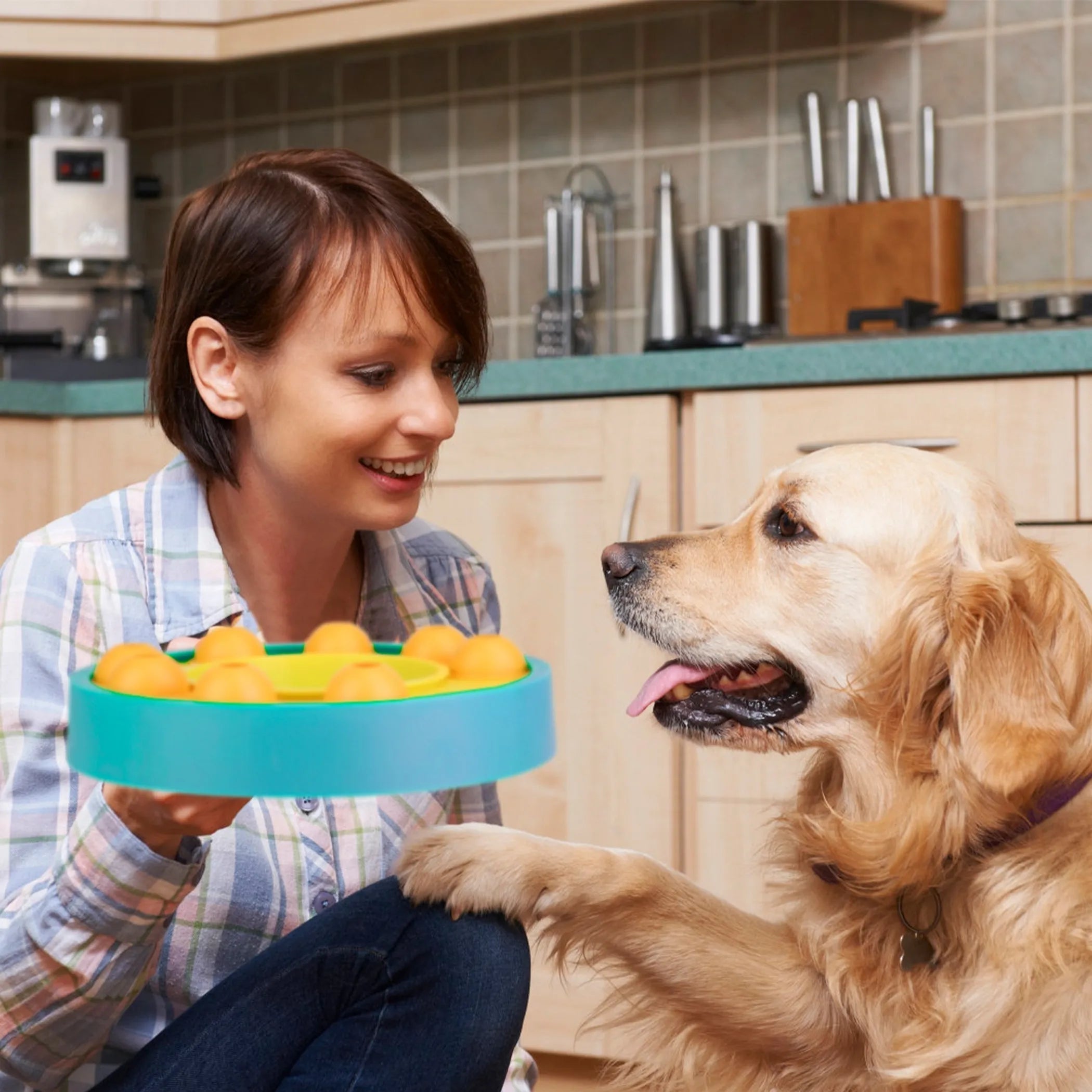 Dog Puzzle Food Feeder Slow Feeding Bowl