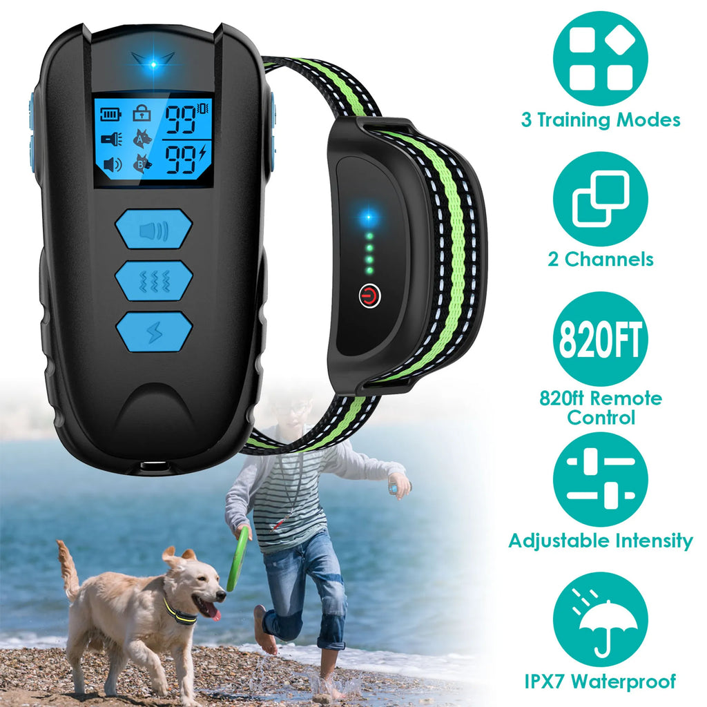 Dog Training Collar
