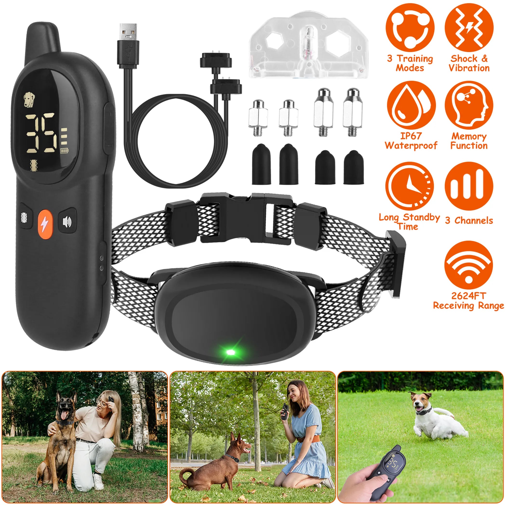 Dog Training Collar