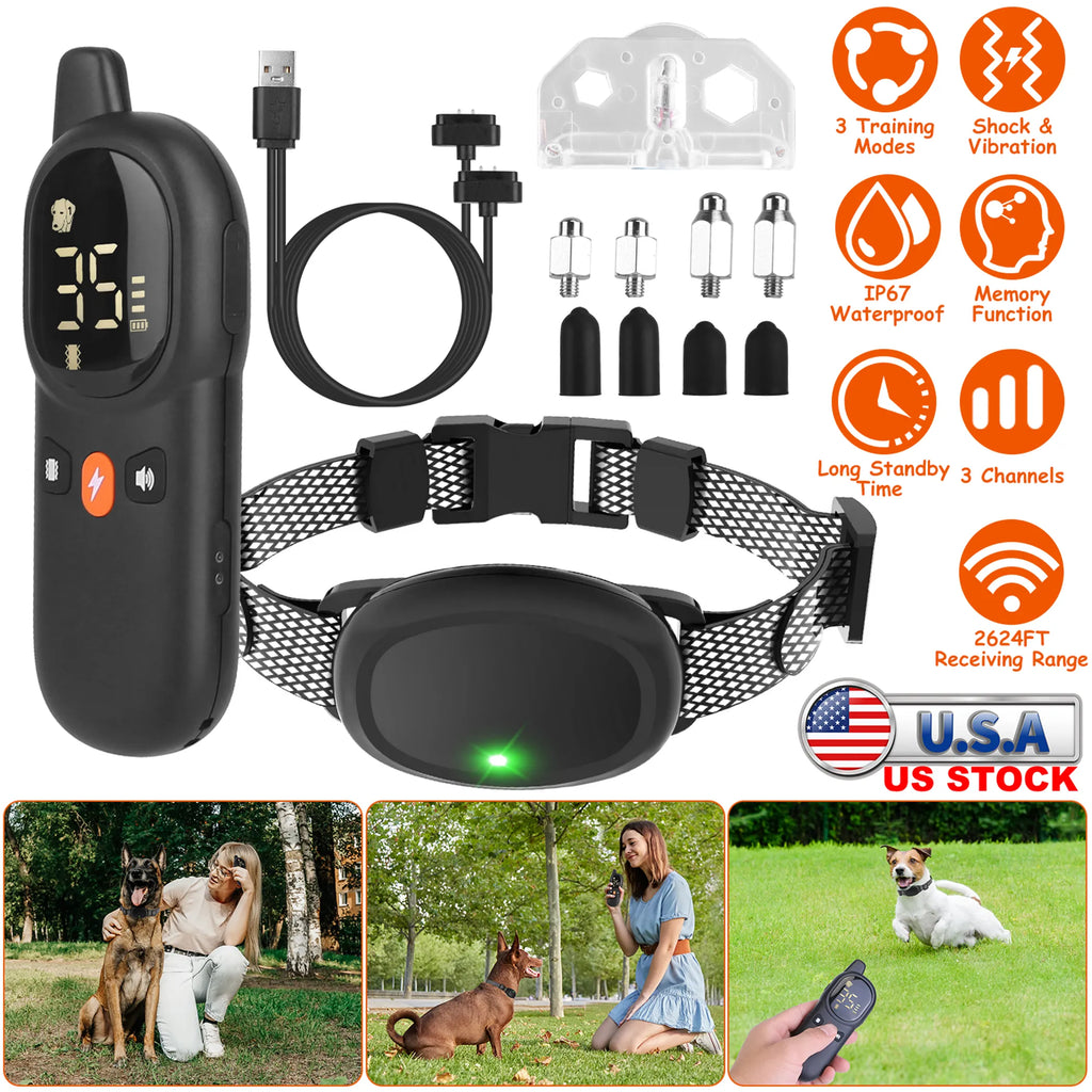 Dog Training Collar