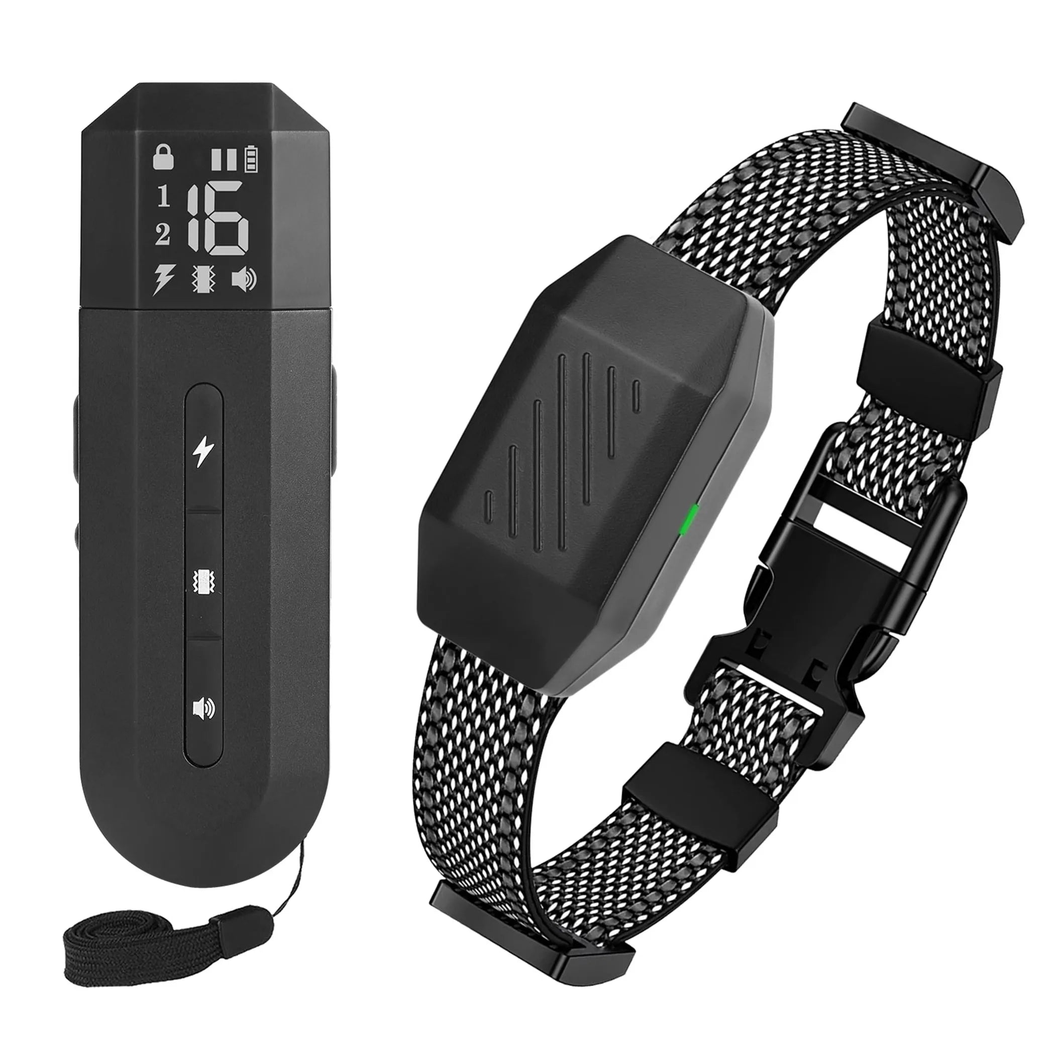 Dog Training Collar