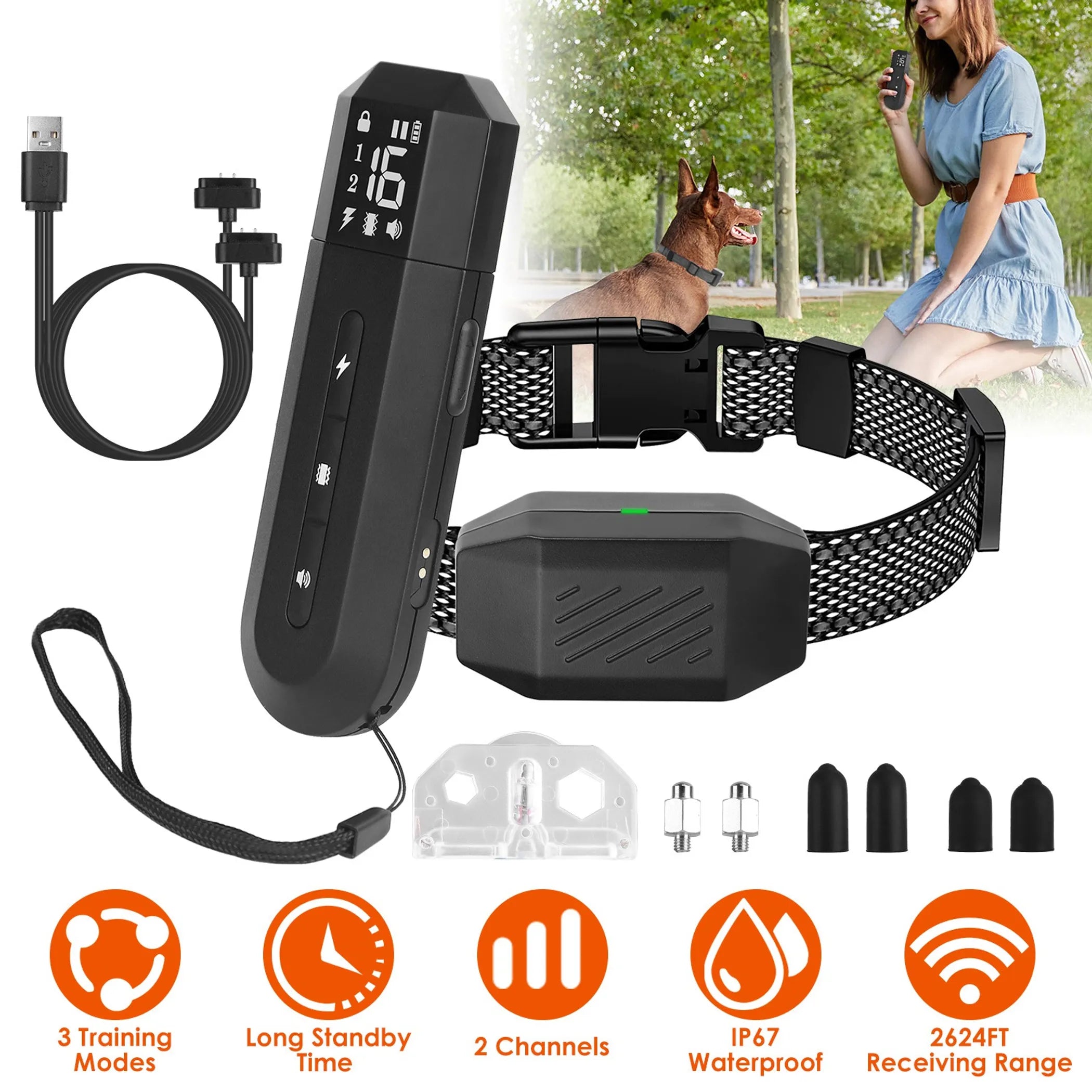 Dog Training Collar
