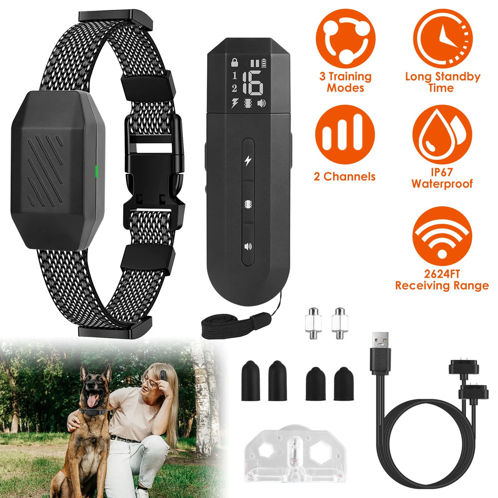 Dog Training Collar