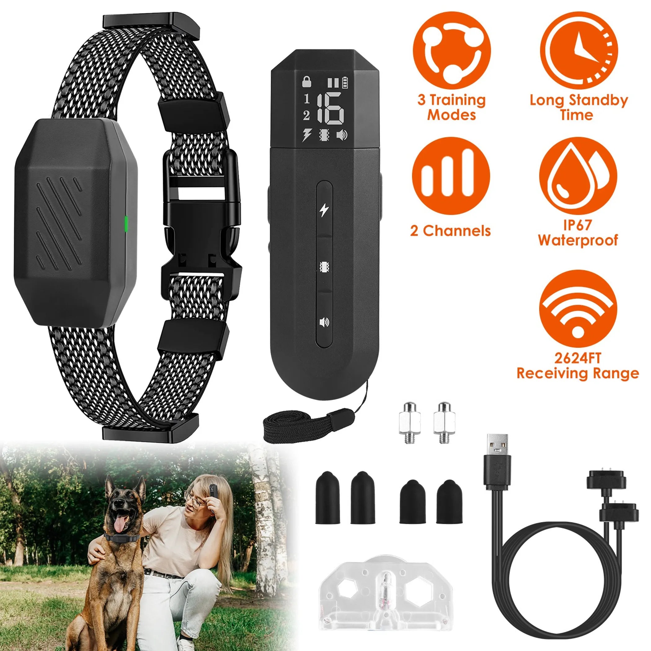 Dog Training Collar