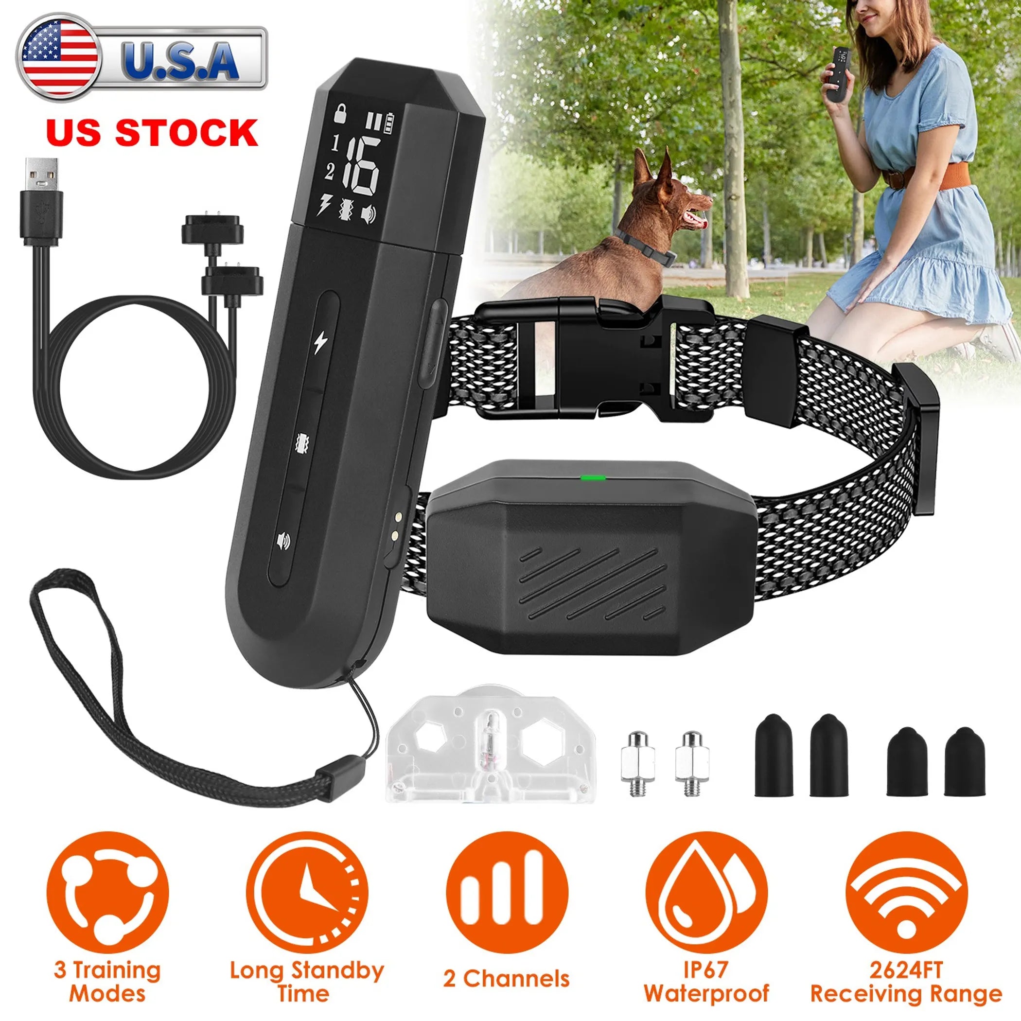 Dog Training Collar