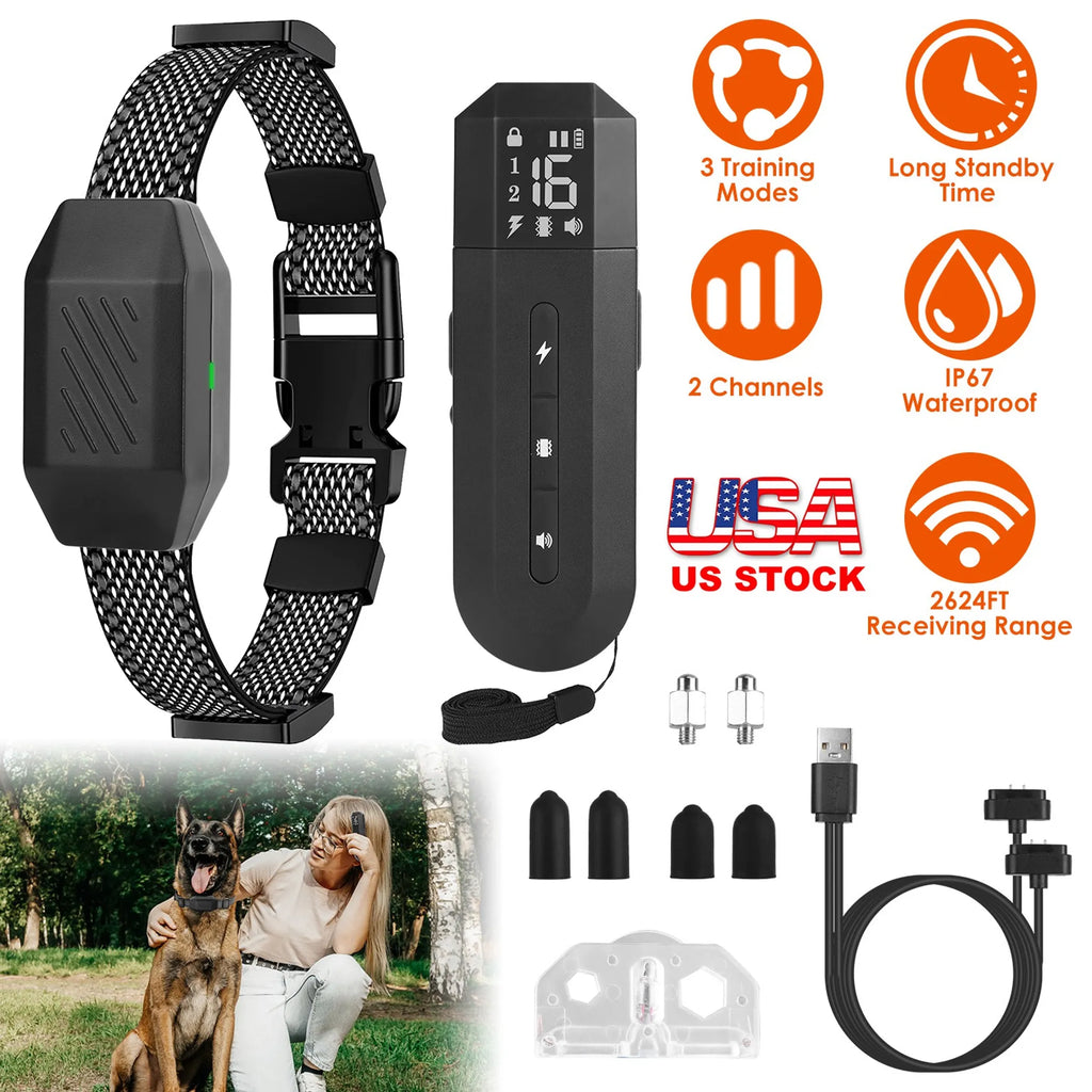 Dog Training Collar