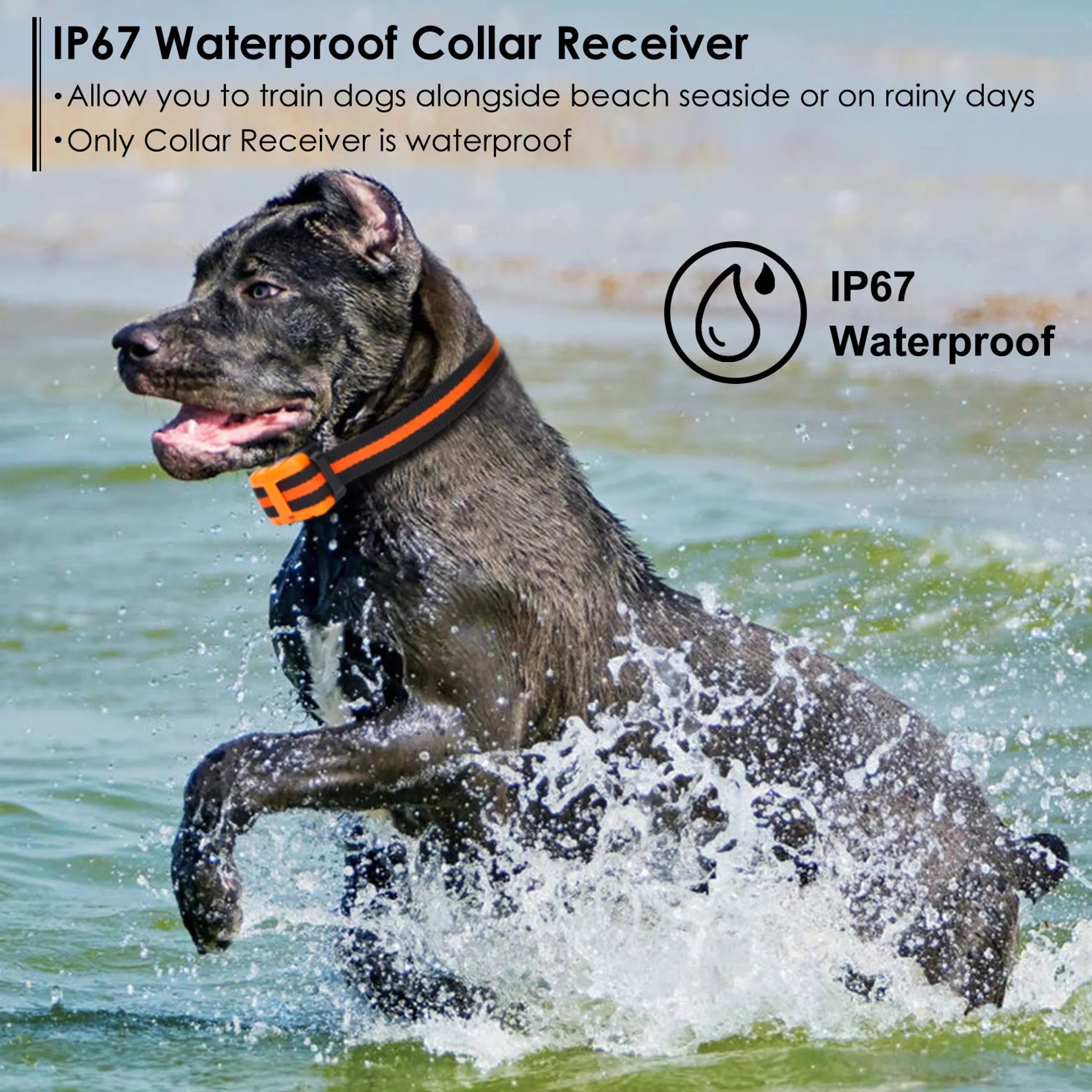 Dog Training Collar IP67 Waterproof Pet Beep