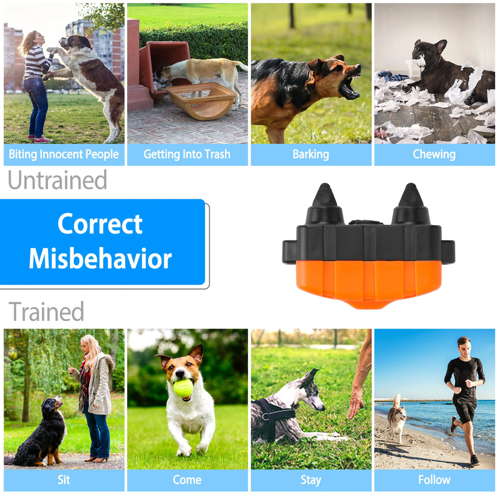 Dog Training Collar IP67 Waterproof Pet Beep