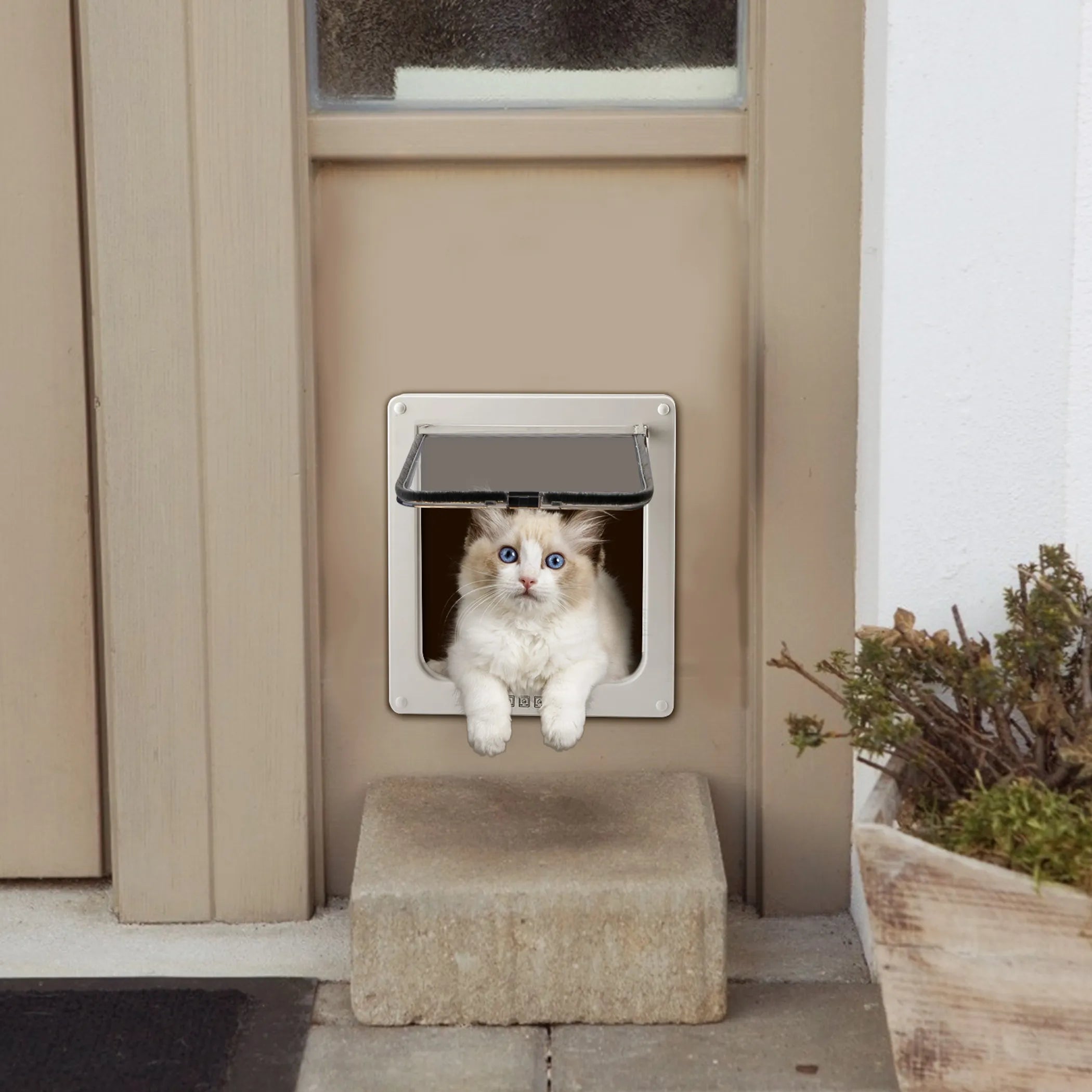 Cat Door