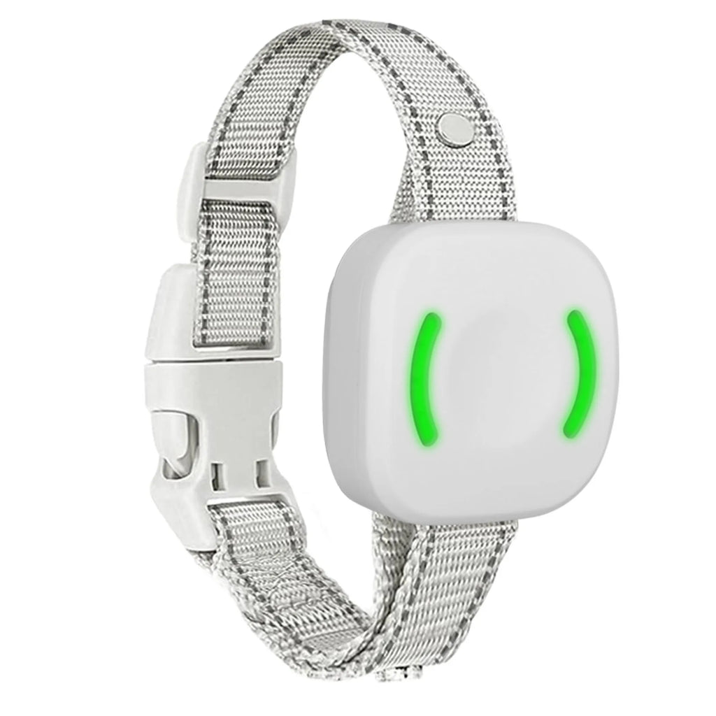 IP67 Waterproof Electric Dog Training Collar