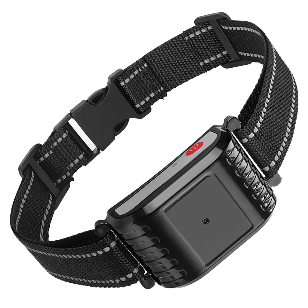 Dog Training Collar Receiver