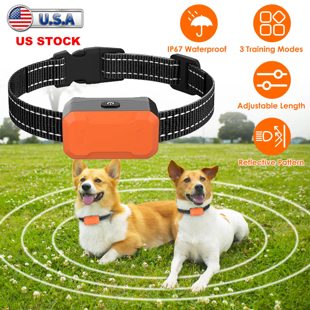 Electric Dog Training Collar Receiver
