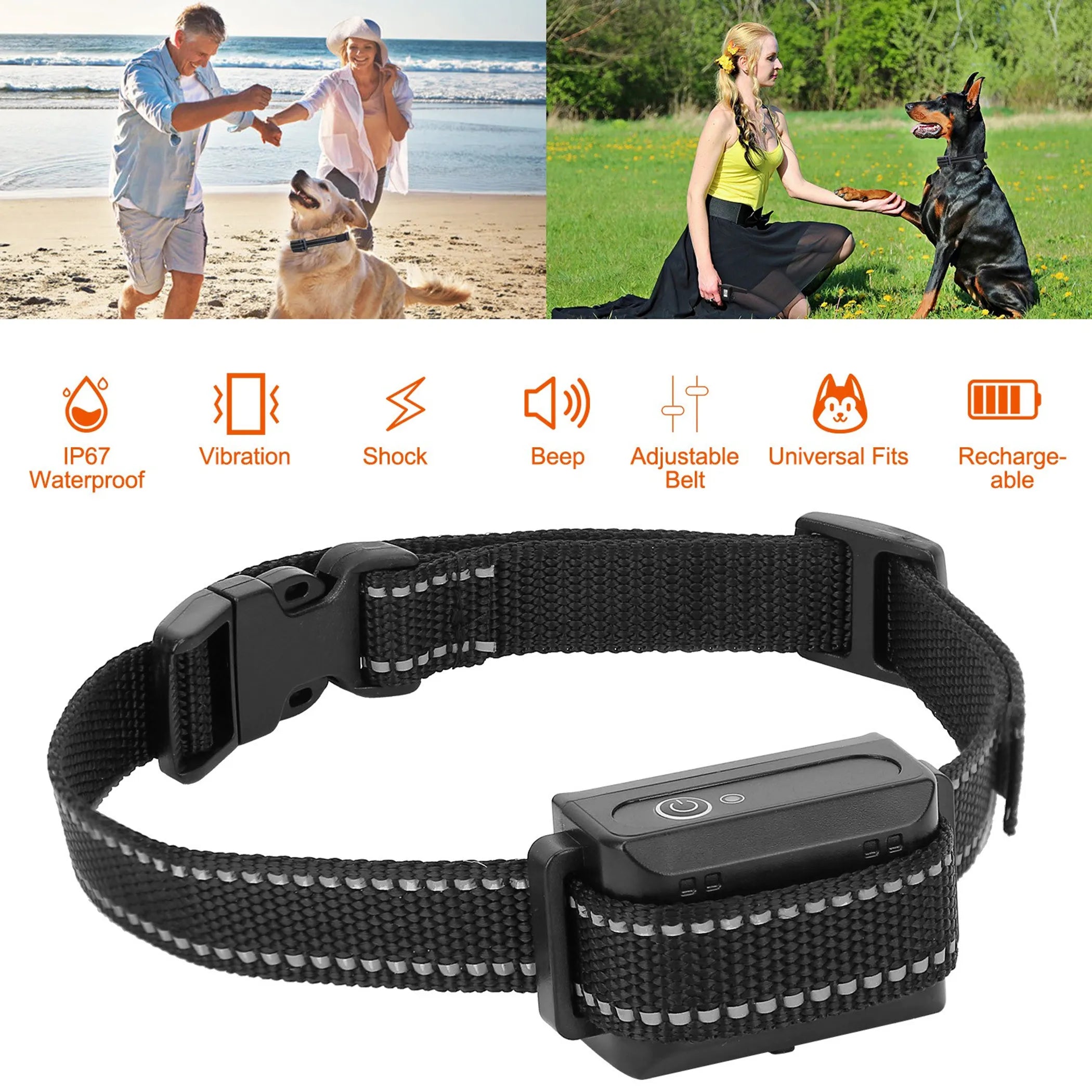 Dog Training Collar Receiver