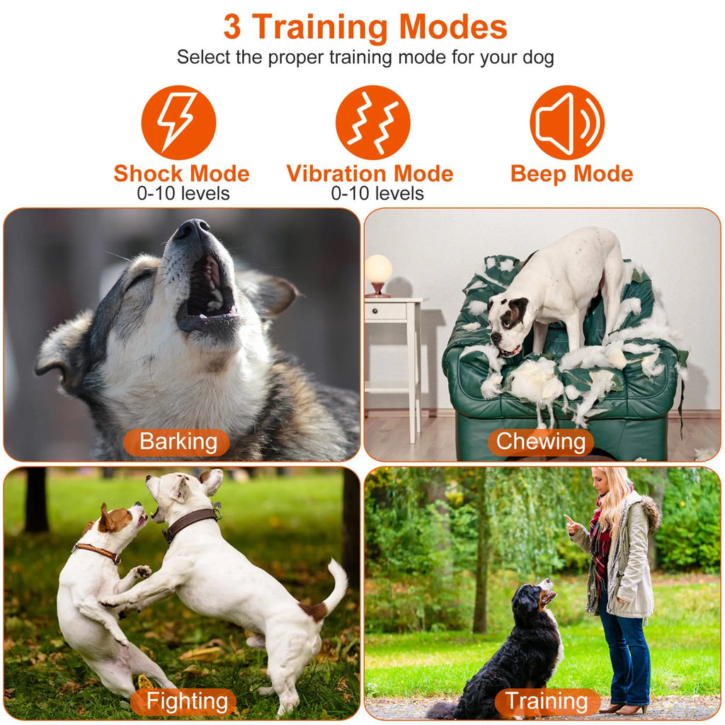 IPX7 Waterproof Dog Training Collar