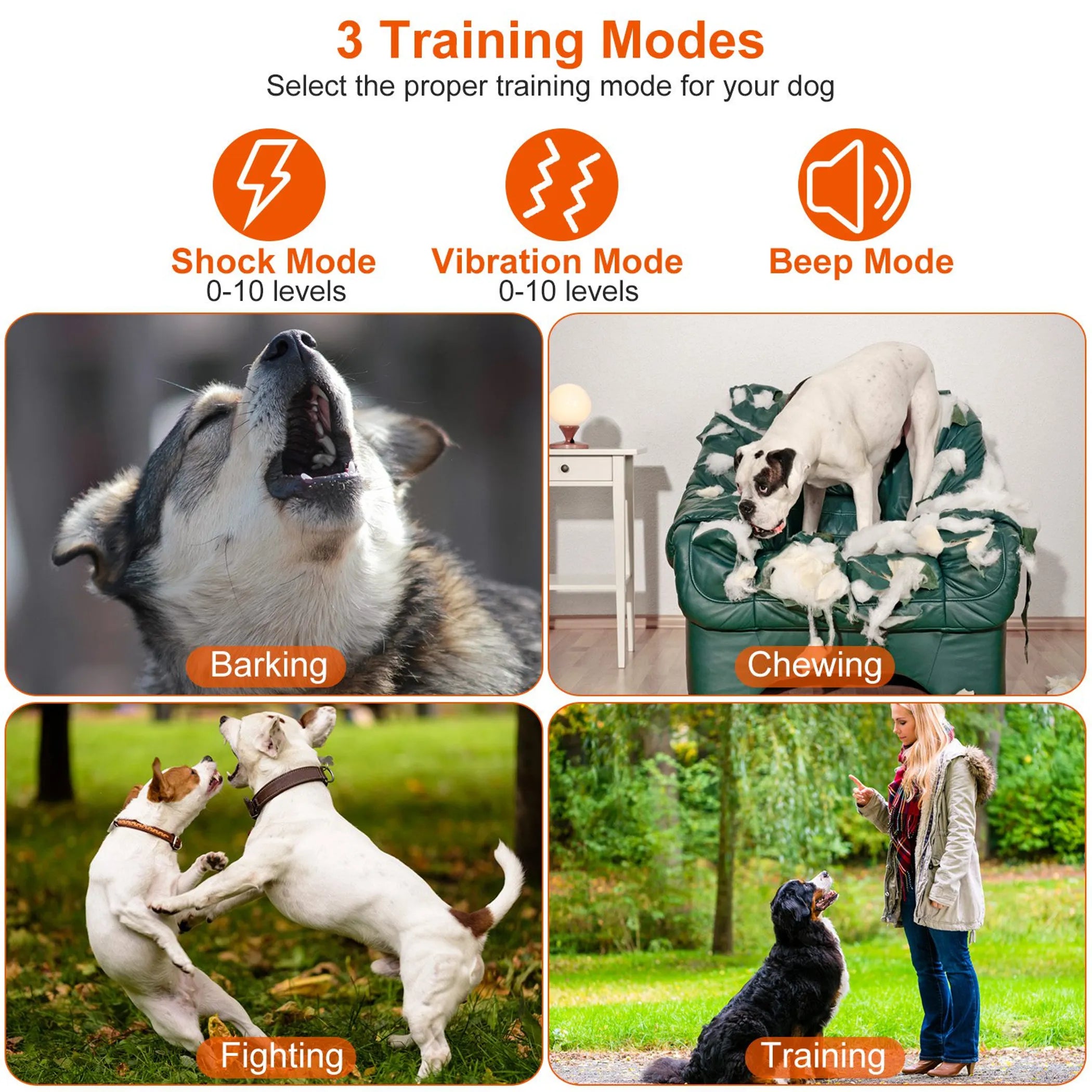 IPX7 Waterproof Dog Training Collar