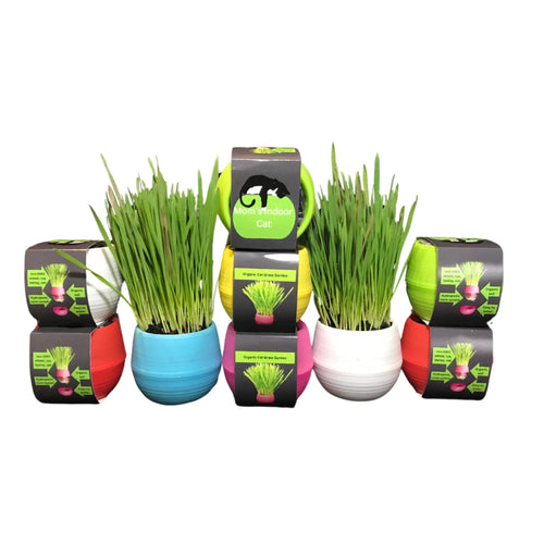 Cat Grass Balls