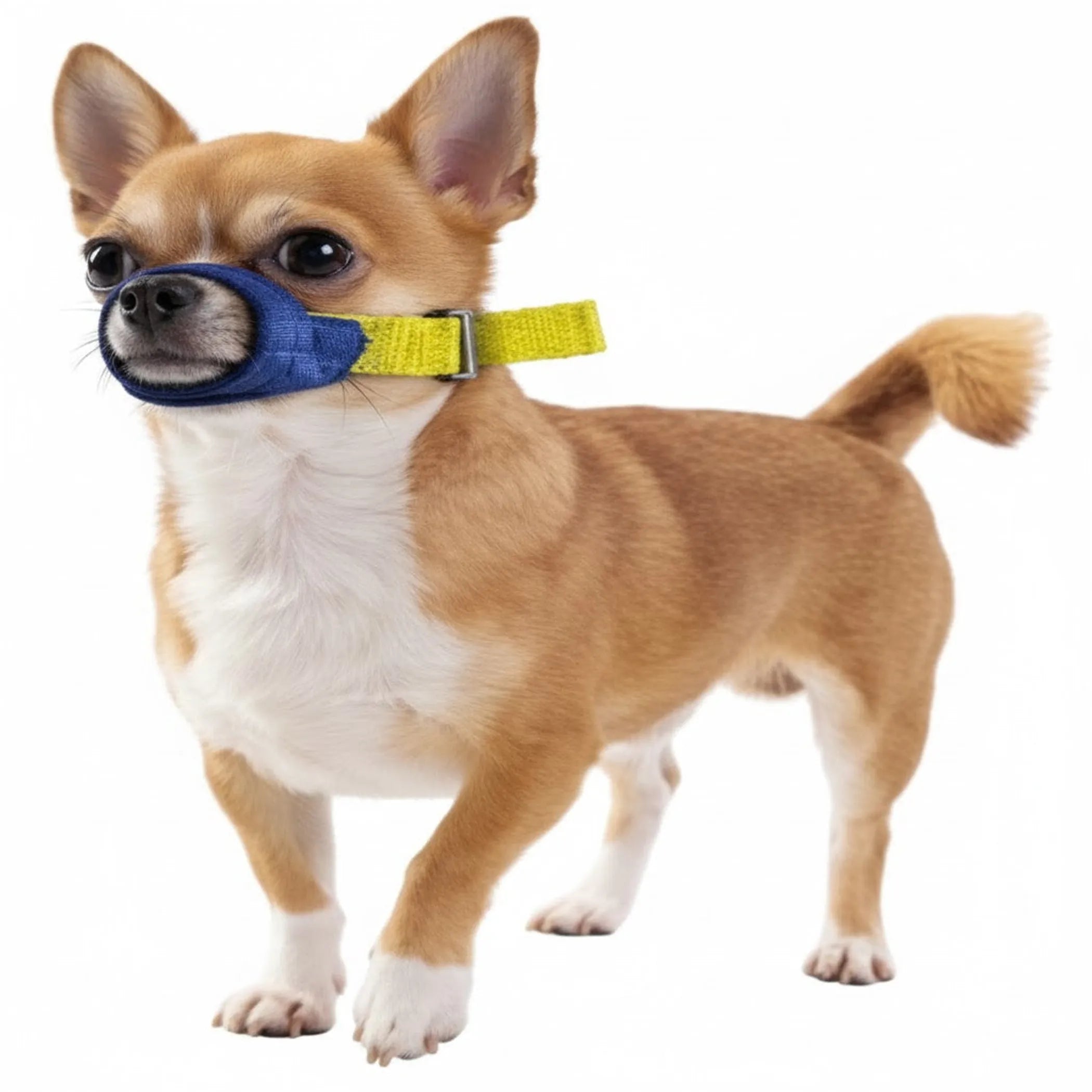 Color-Coded Strap Quick Muzzle for Dogs