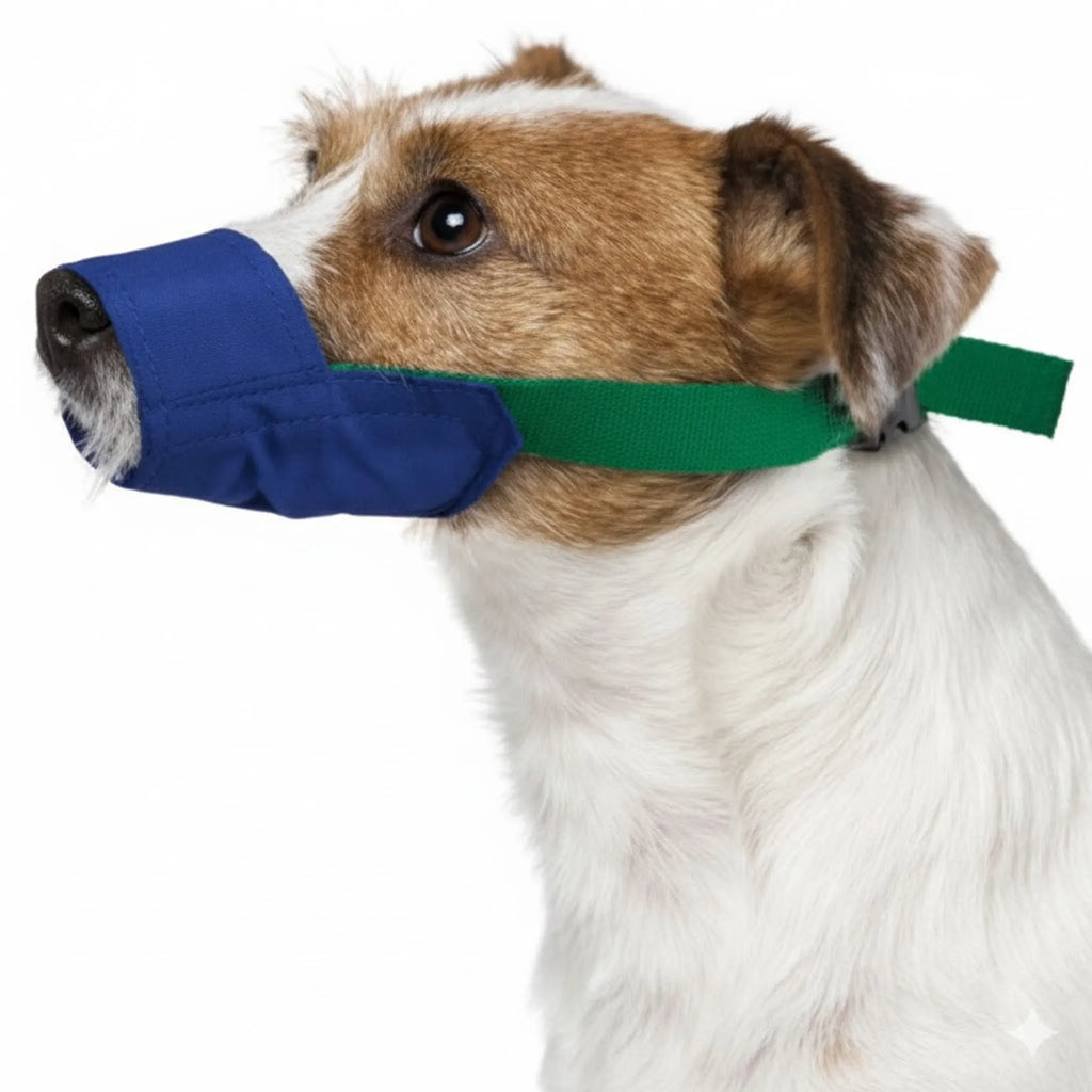 Color-Coded Strap Quick Muzzle for Dogs