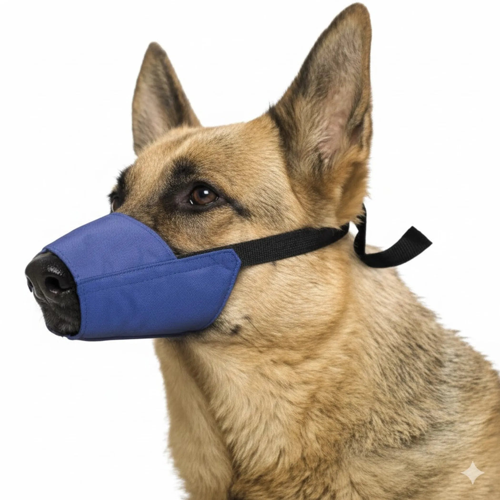 Color-Coded Strap Quick Muzzle for Dogs
