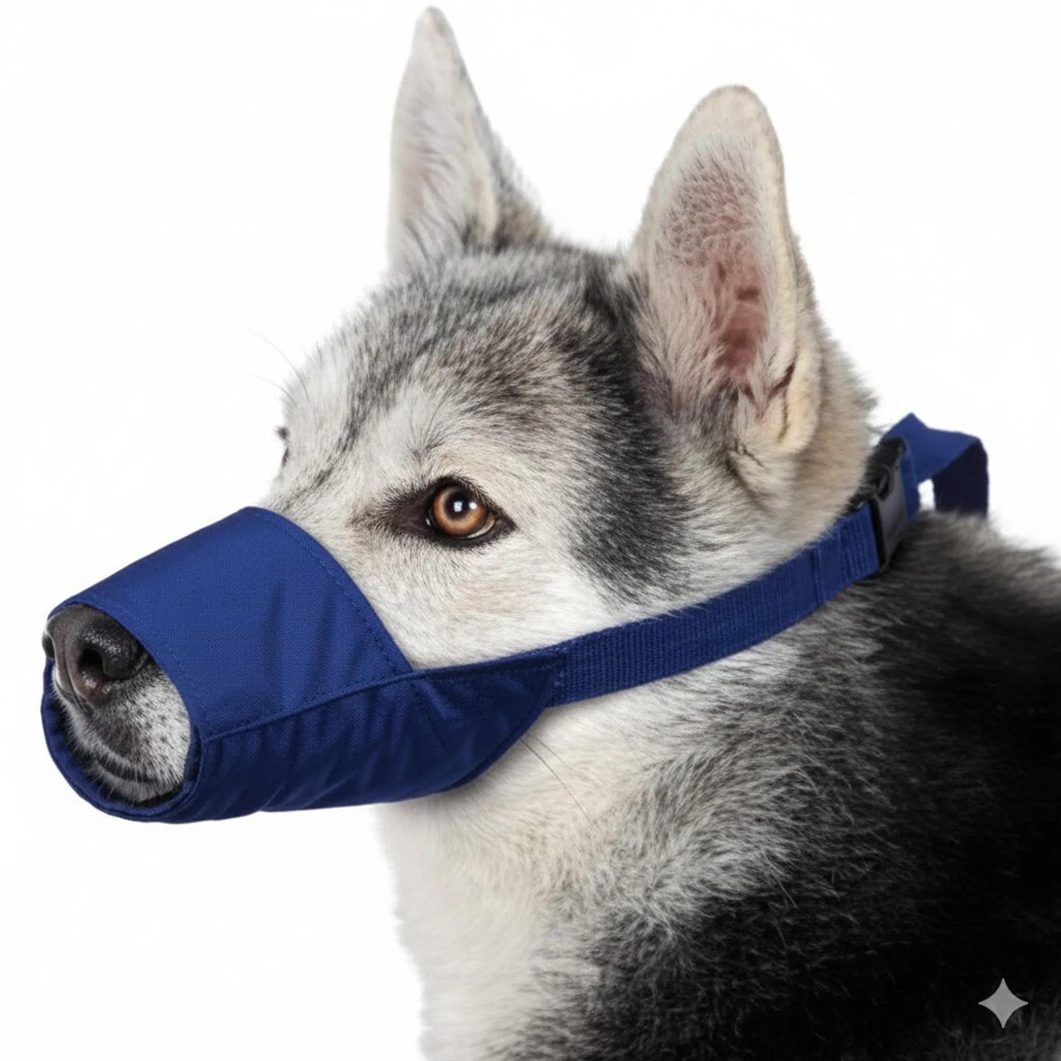 Color-Coded Strap Quick Muzzle for Dogs