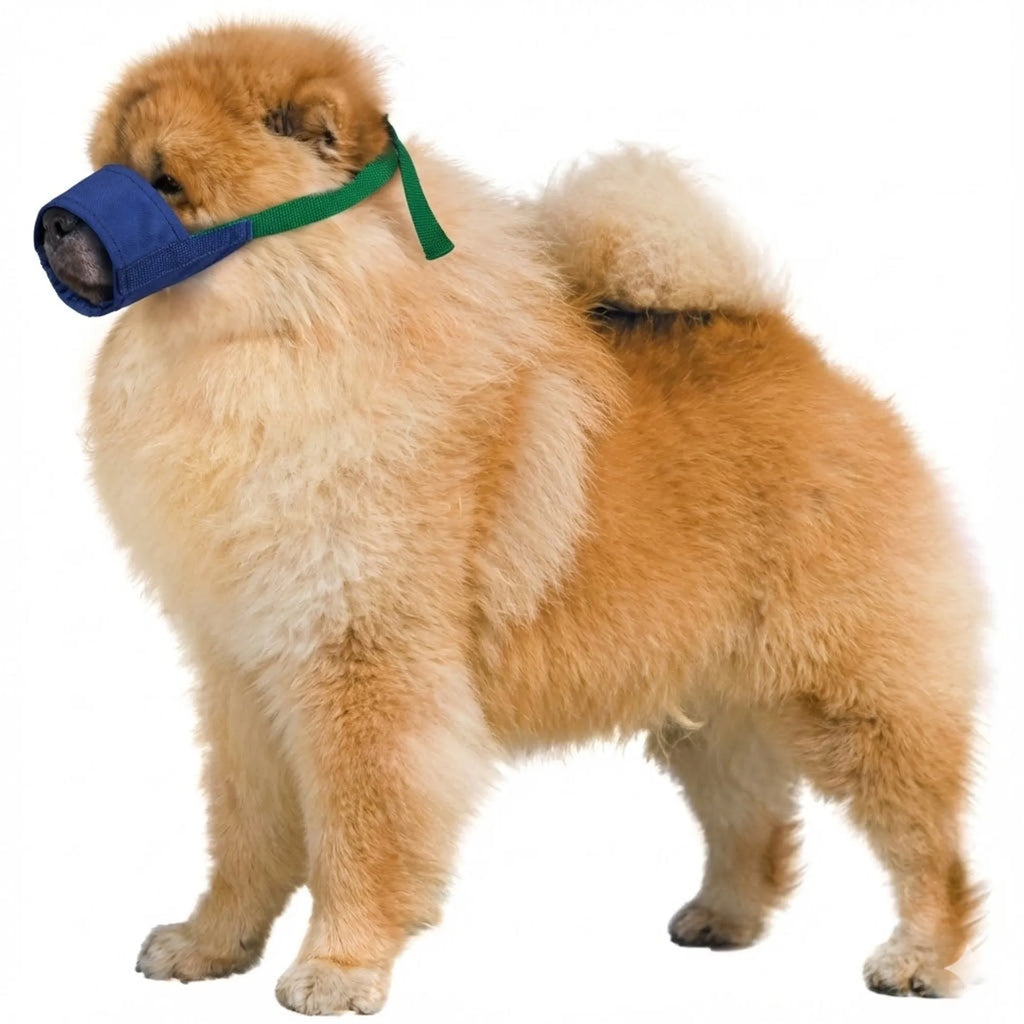 Short Snout Color-Coded Quick Muzzle