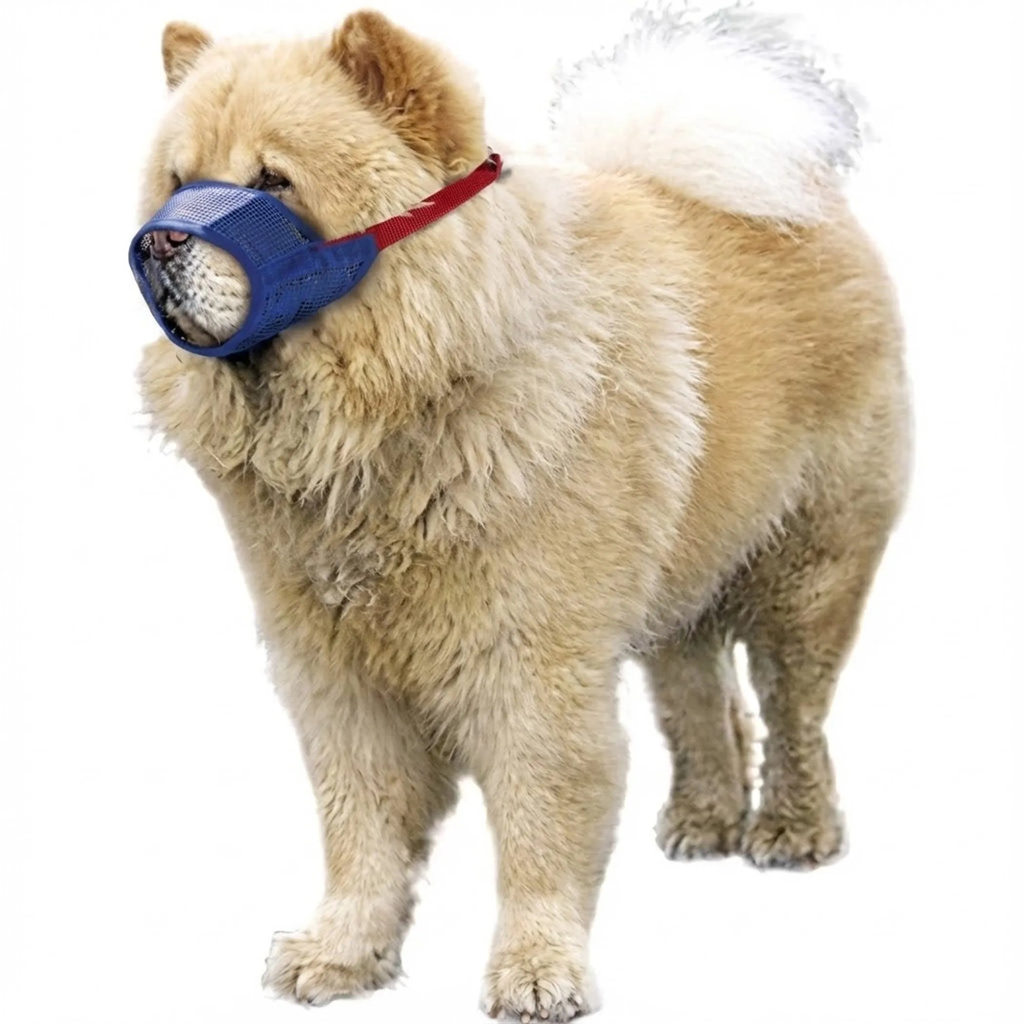 Short Snout Color-Coded Quick Muzzle