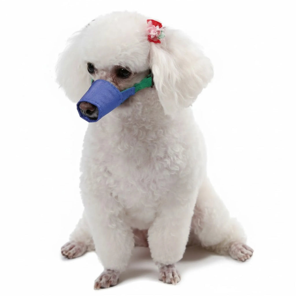 Long Snout Color-Coded Quick Muzzle