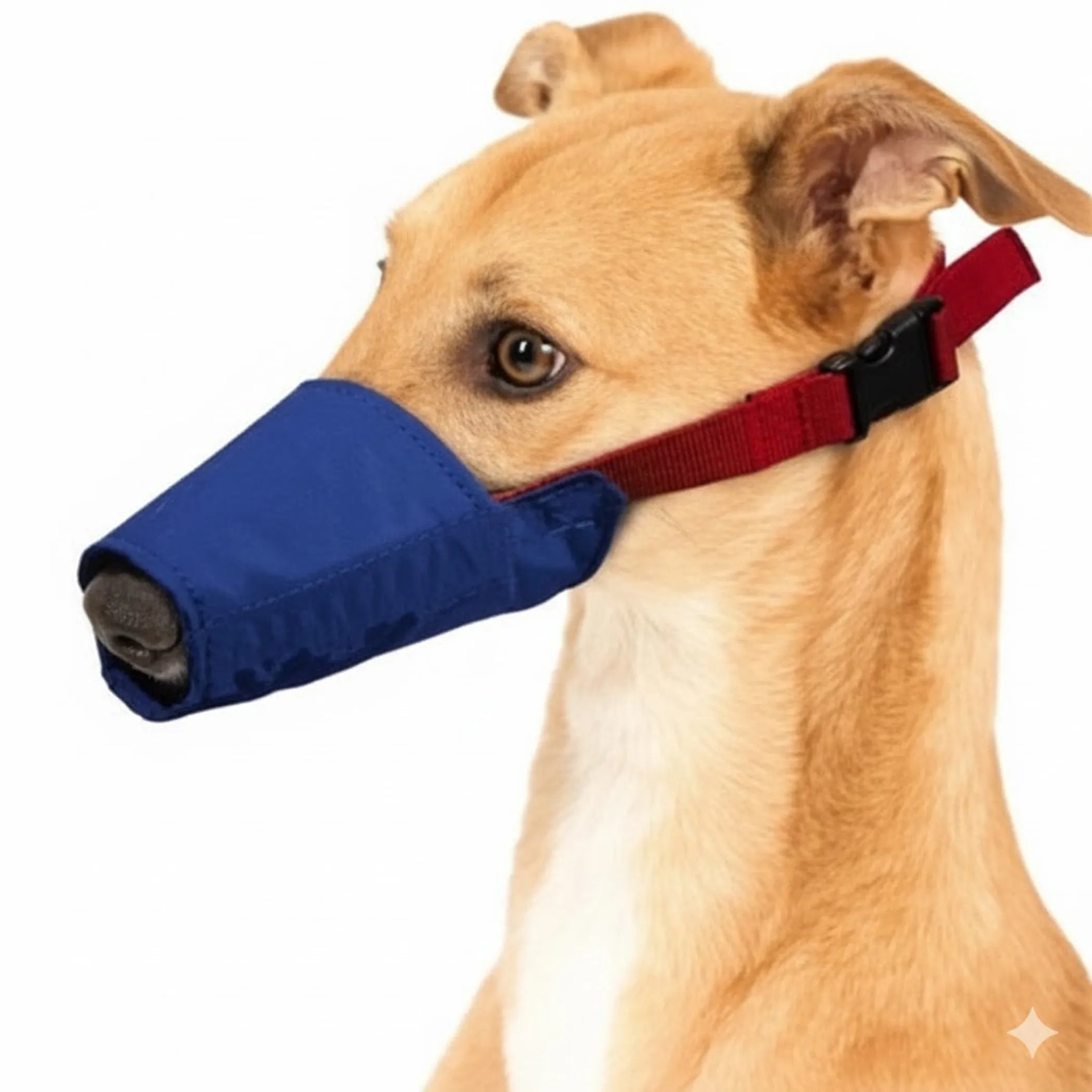 Long Snout Color-Coded Quick Muzzle