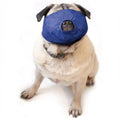 The Brachycephalic Quick Muzzle - Pug Snout