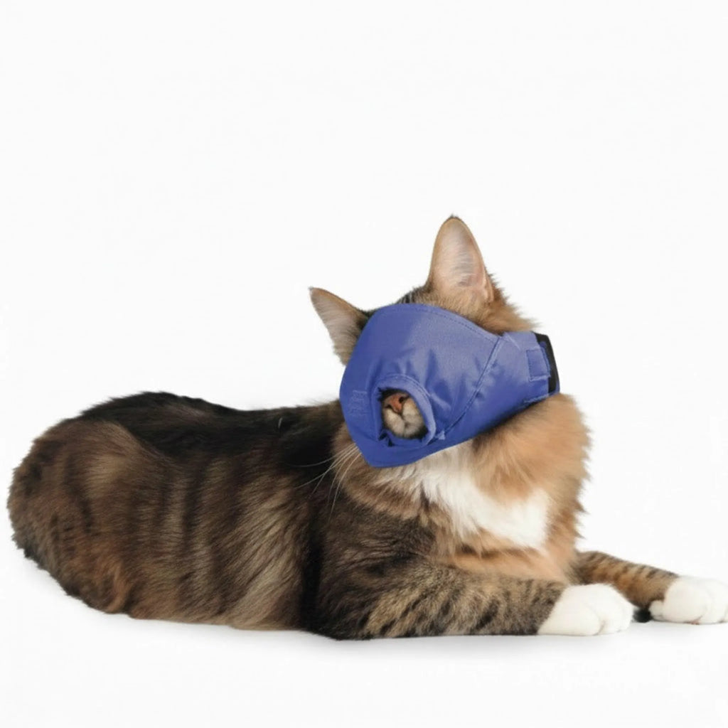 10 Pack Four Flags Over Aspen Quick Muzzle for Cats