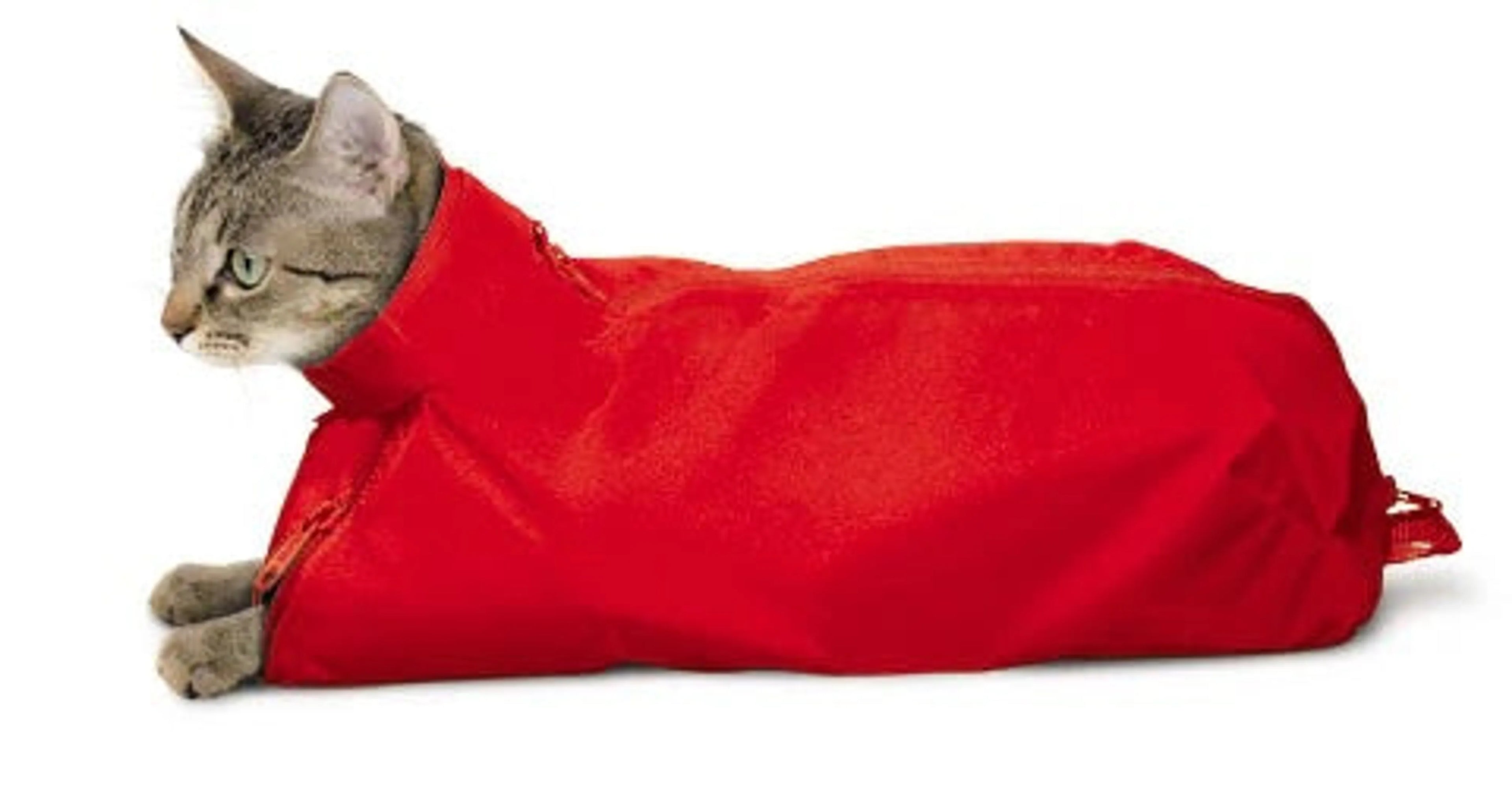 Original Cat Sack